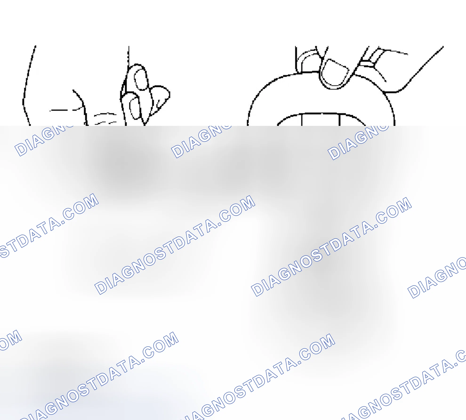 Scheme 80: Camshaft Cam Height
