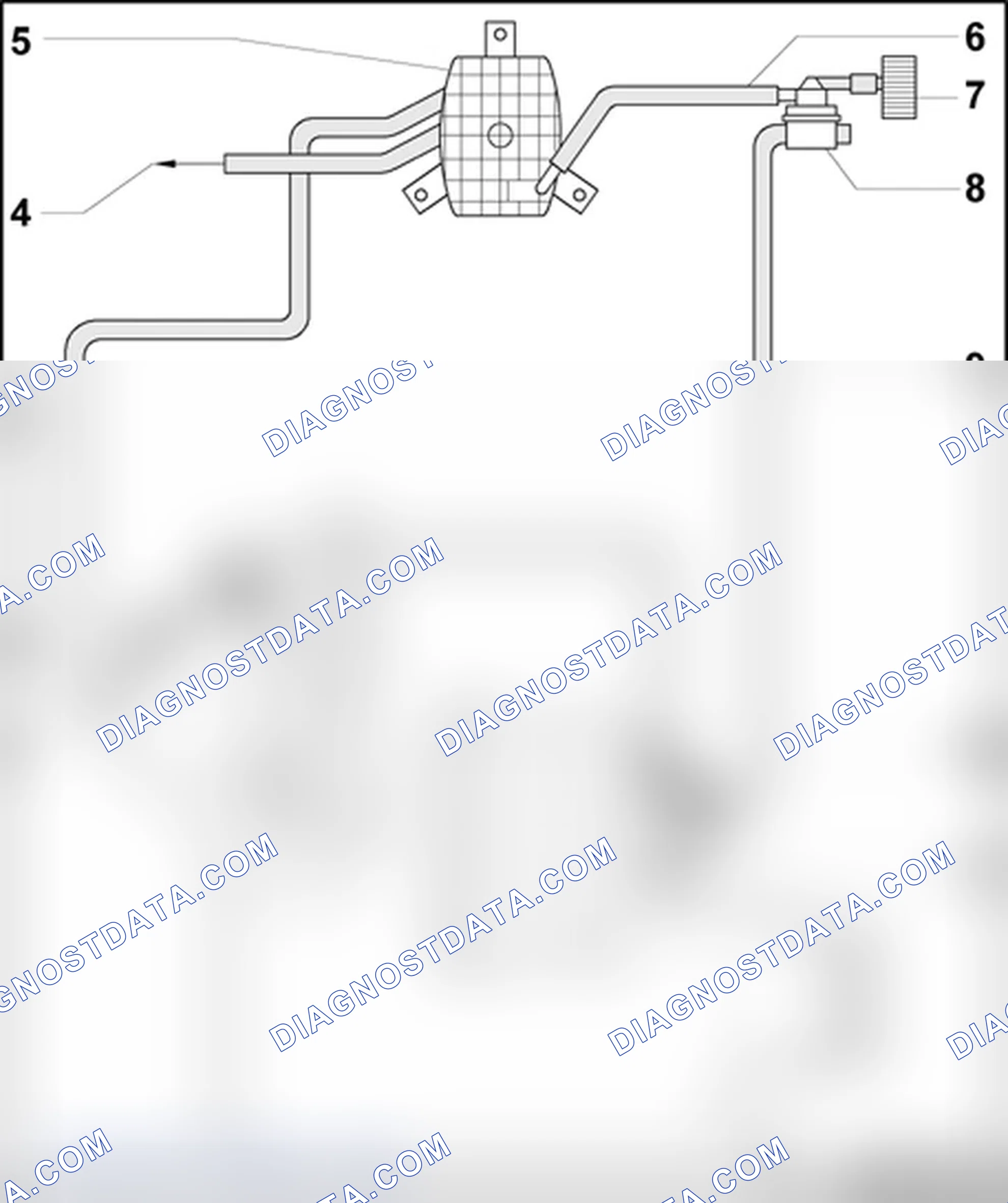 Scheme 162: Hose routing, EVAP canister/leak detection system - 1.8L Turbo engine