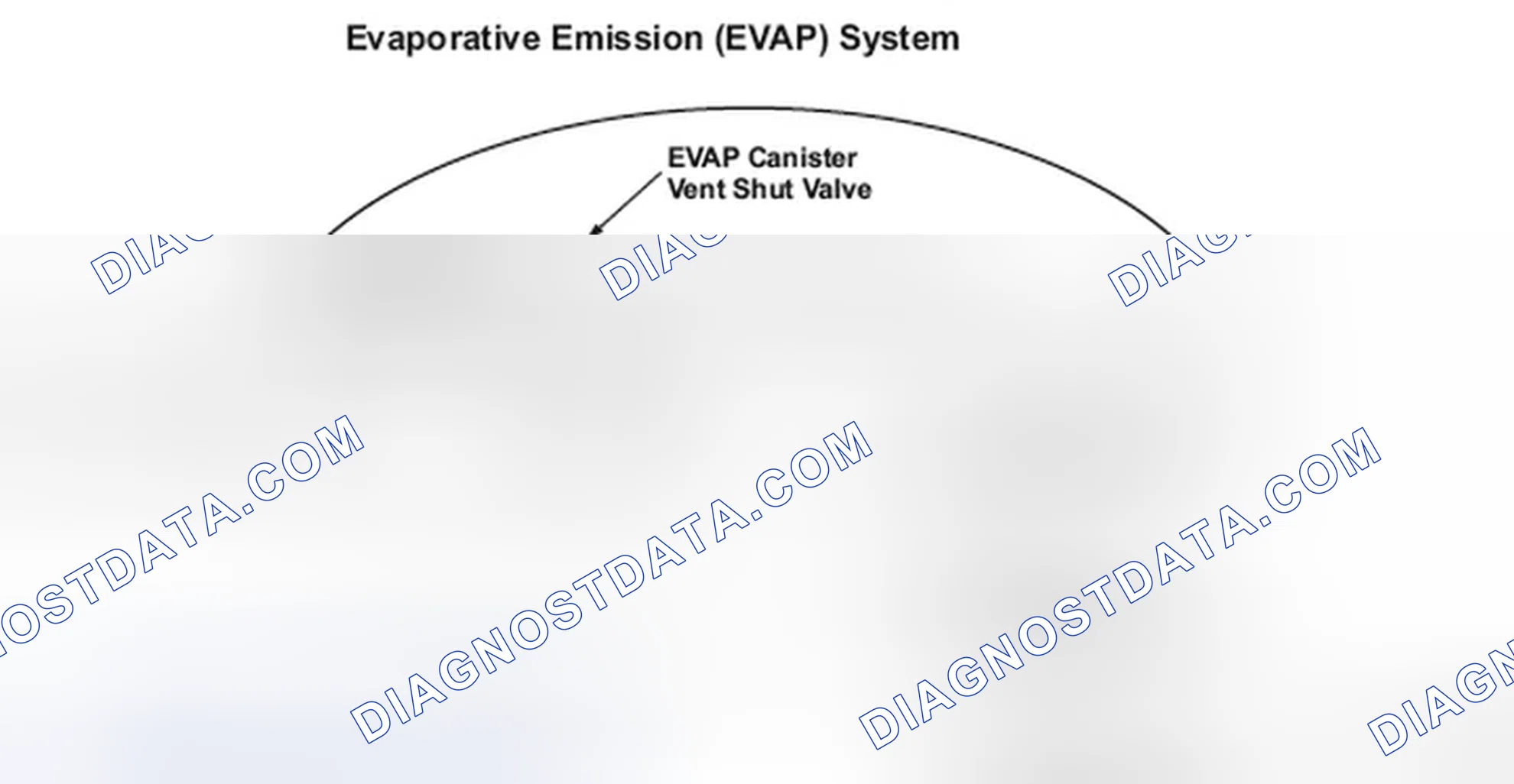 Scheme 253: DTC P0455: Evaporative Emission (EVAP) System Large Leak Detected