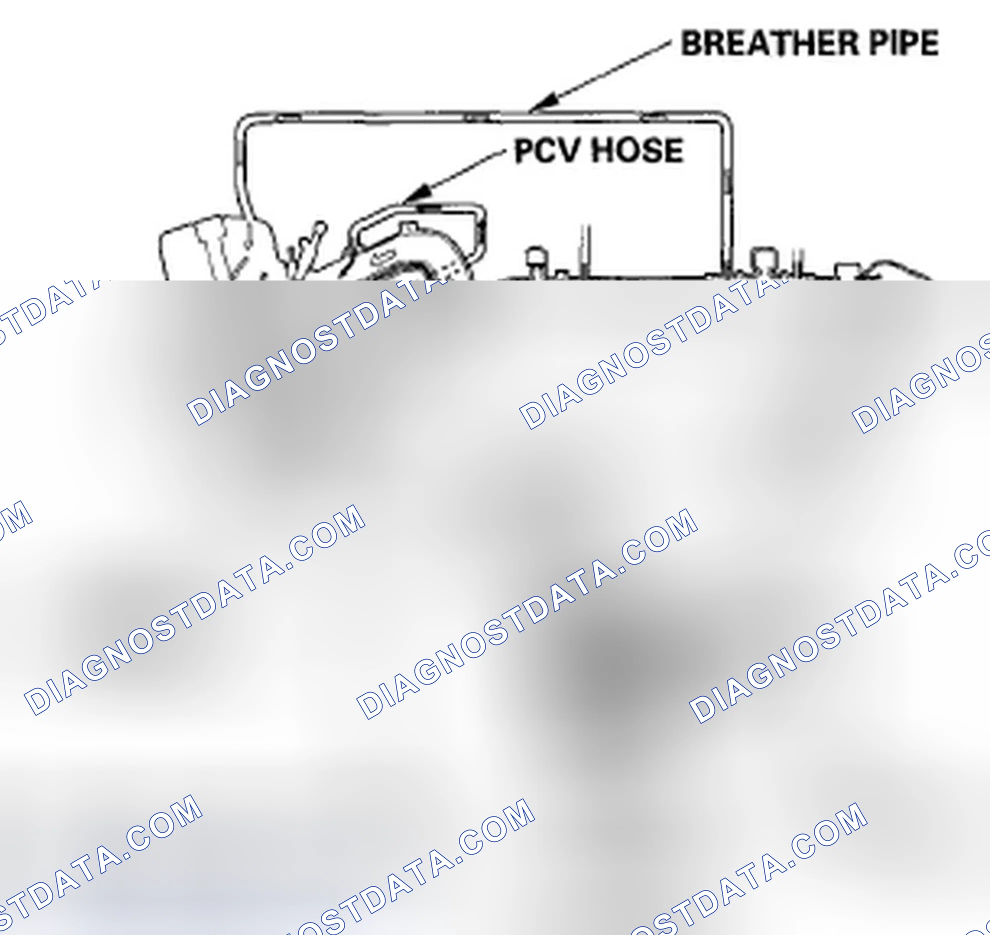 Scheme 239: Positive Crankcase Ventilation (PCV) System