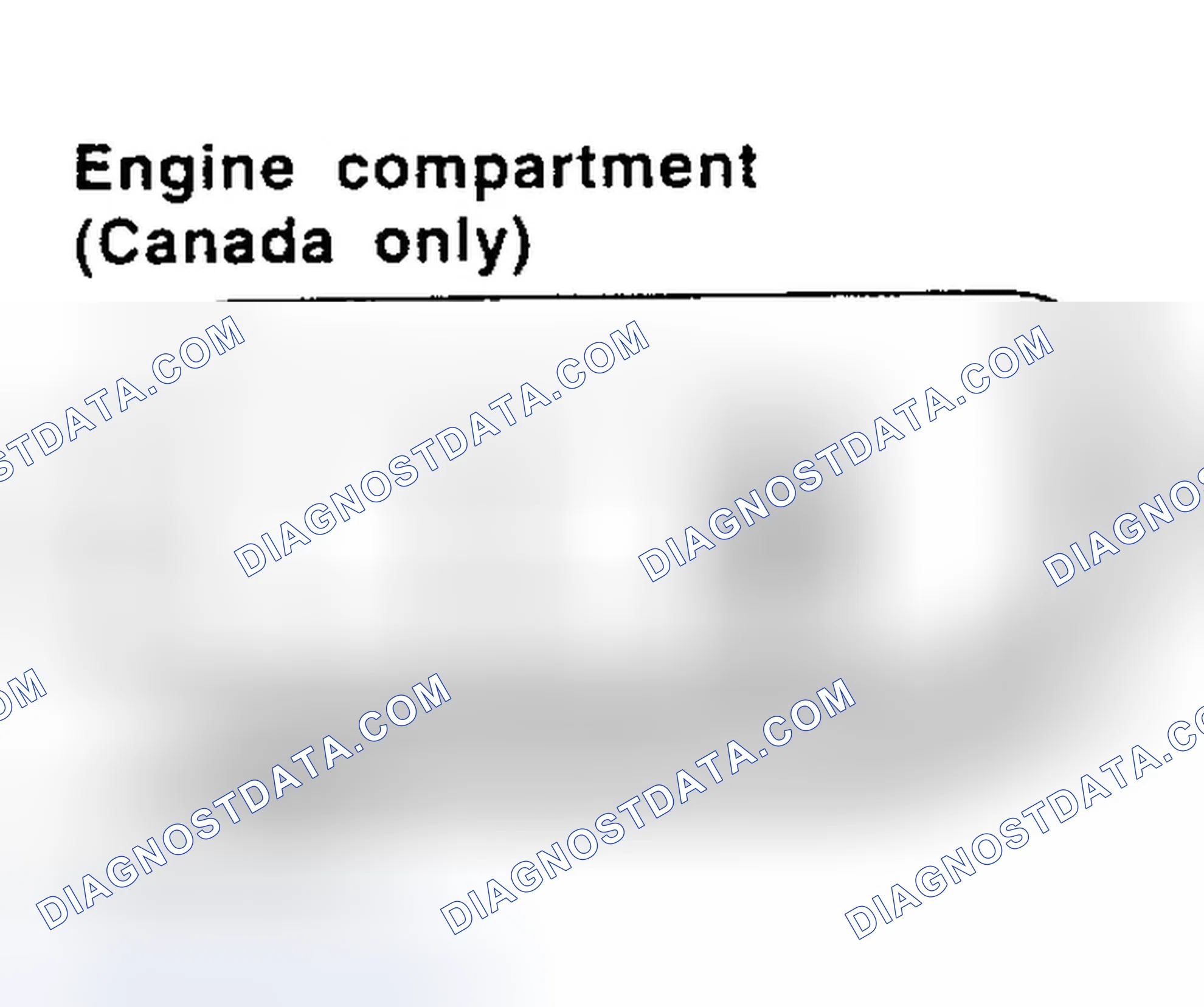 Scheme 5