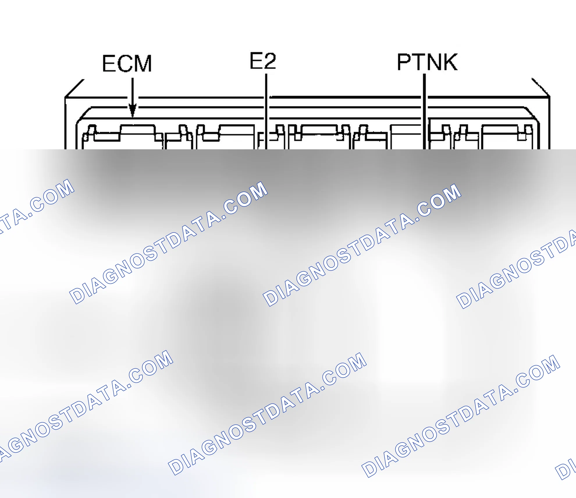 Scheme 265