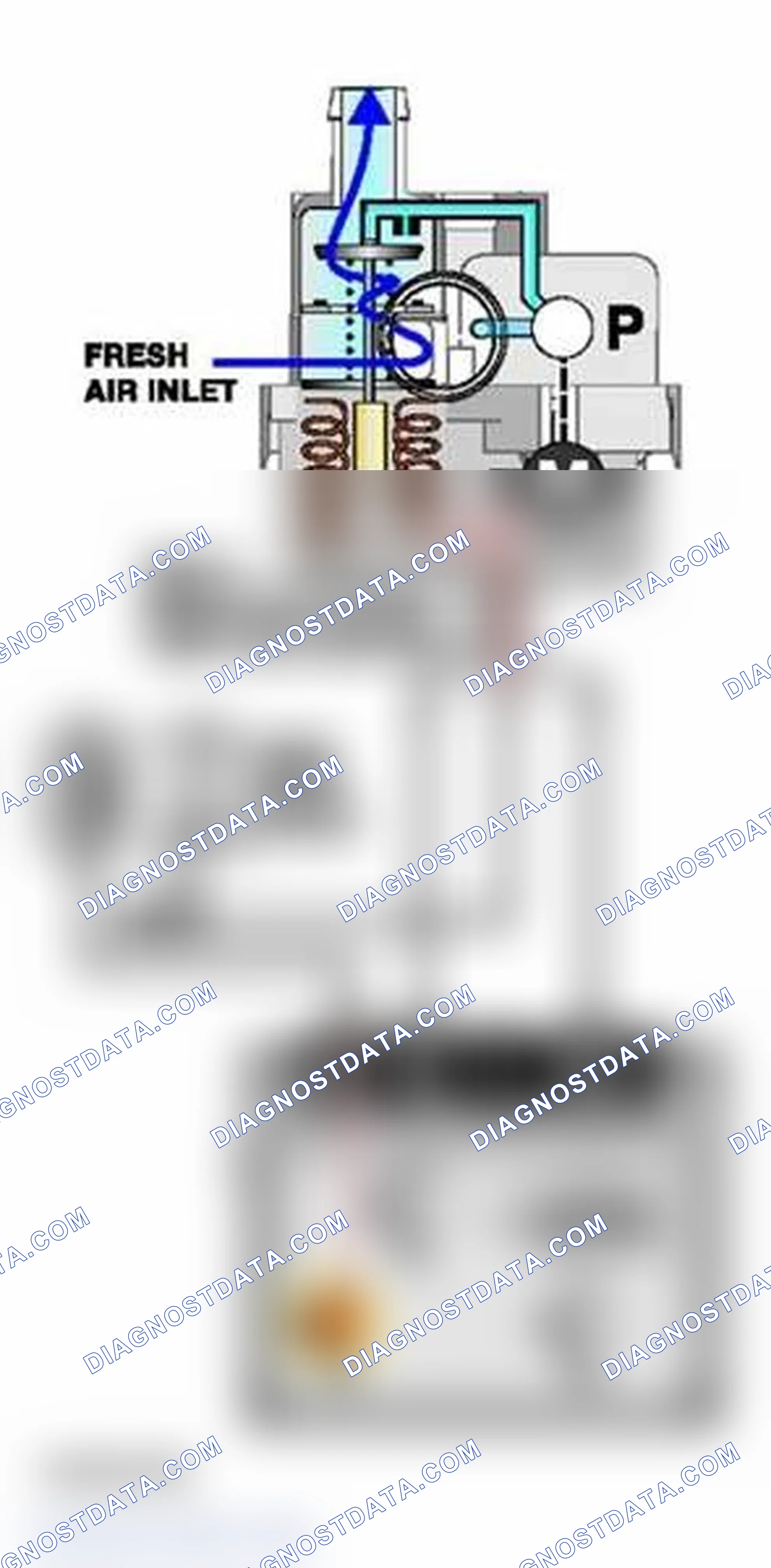 Scheme 436: Evaporative Leakage Detection (DM TL)