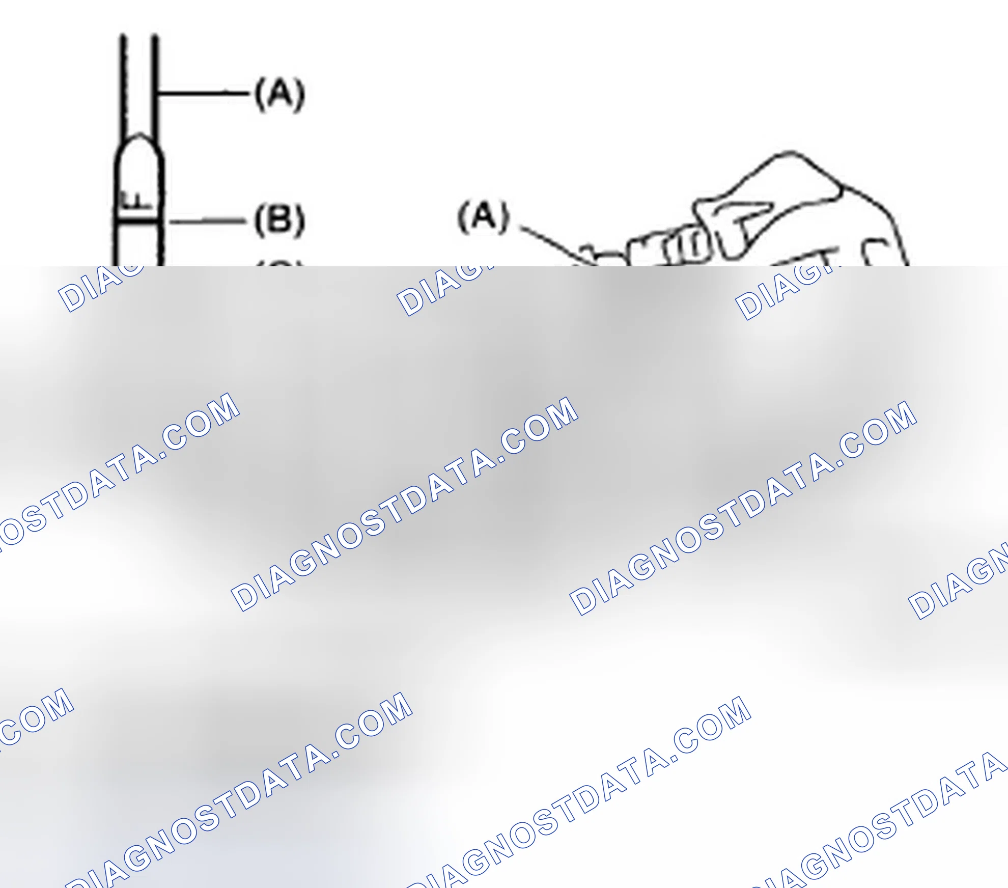 Scheme 109