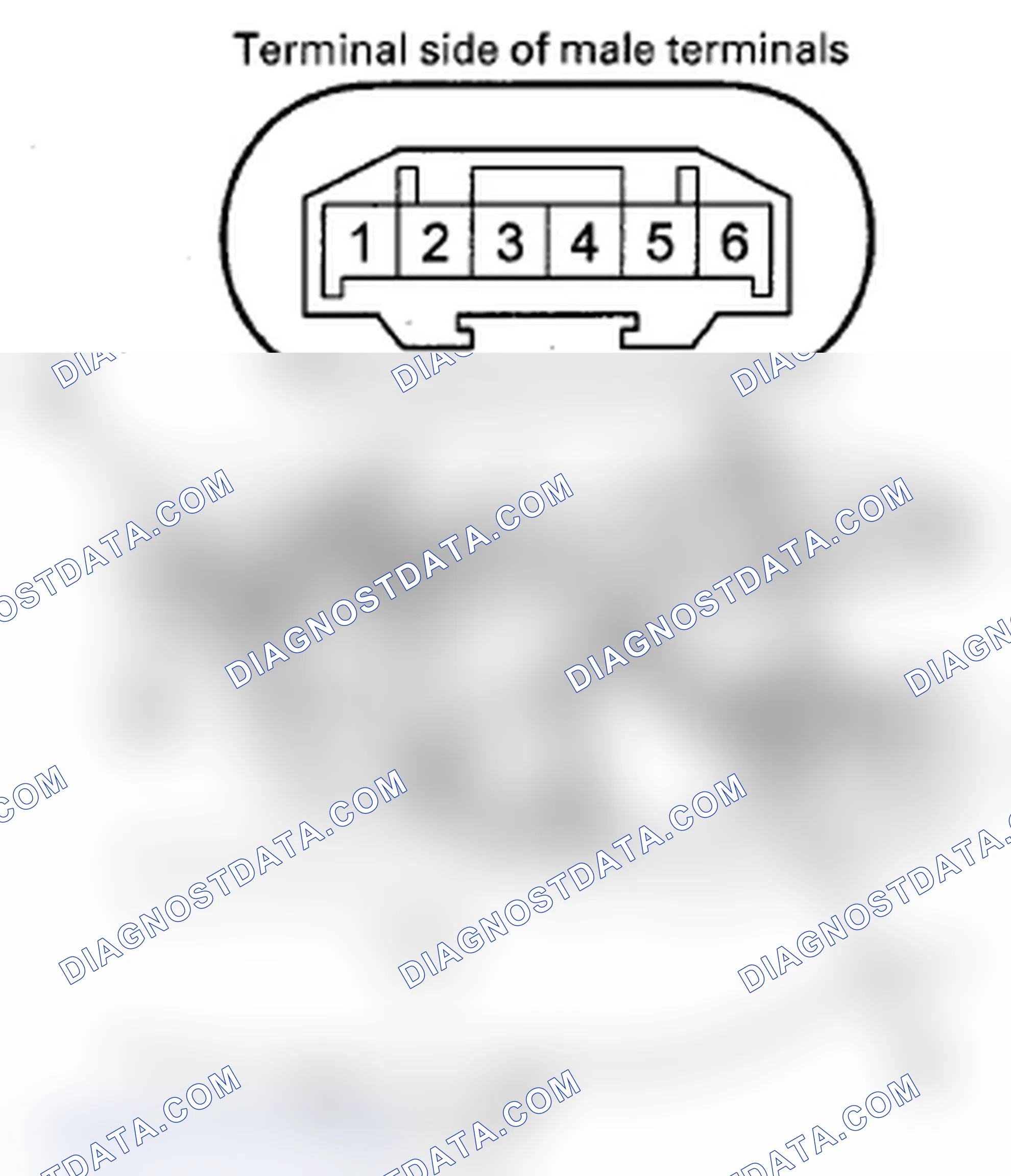 Scheme 256: Power Tailgate Latch/Ratchet Switch Test