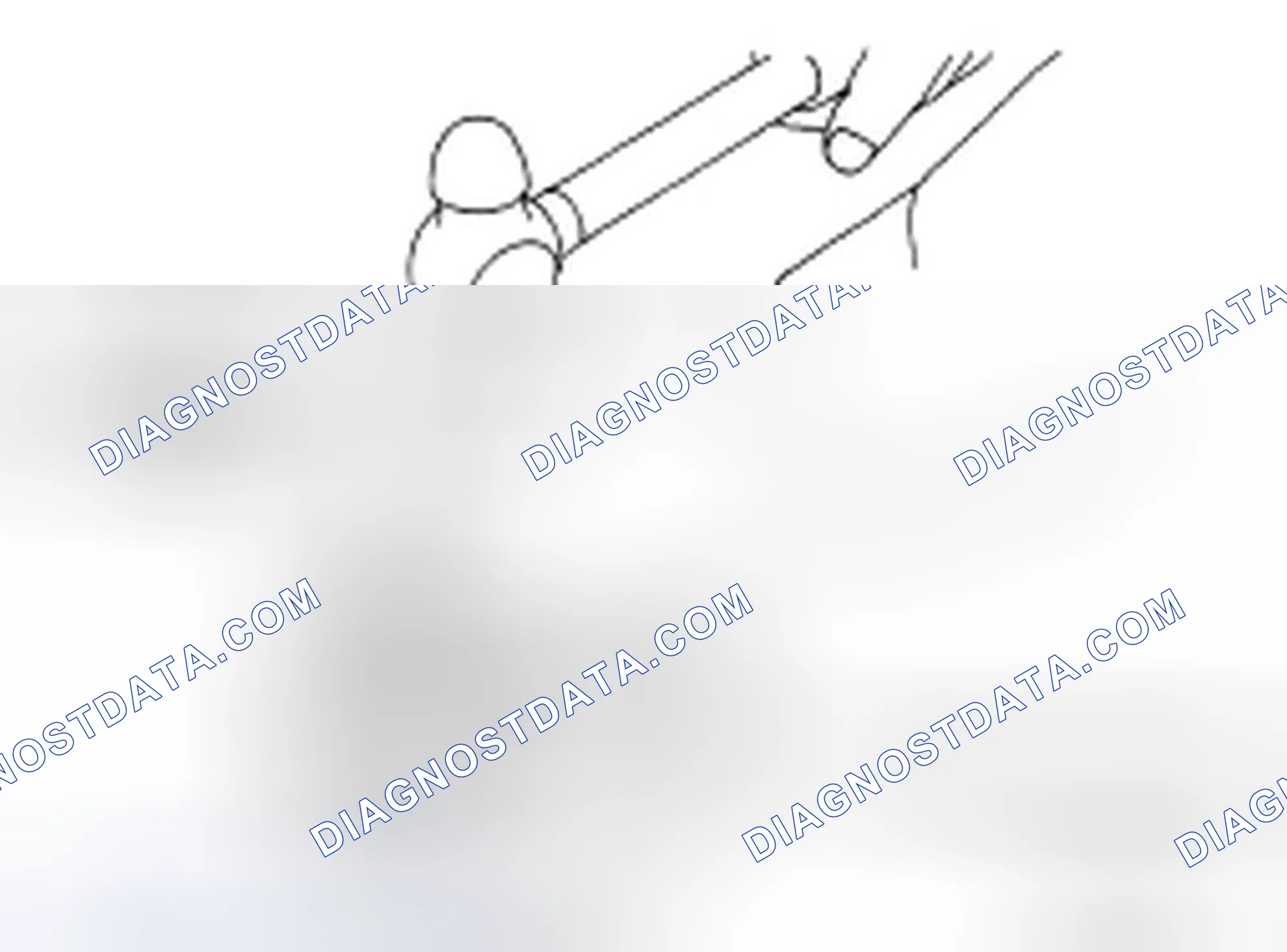 Scheme 161