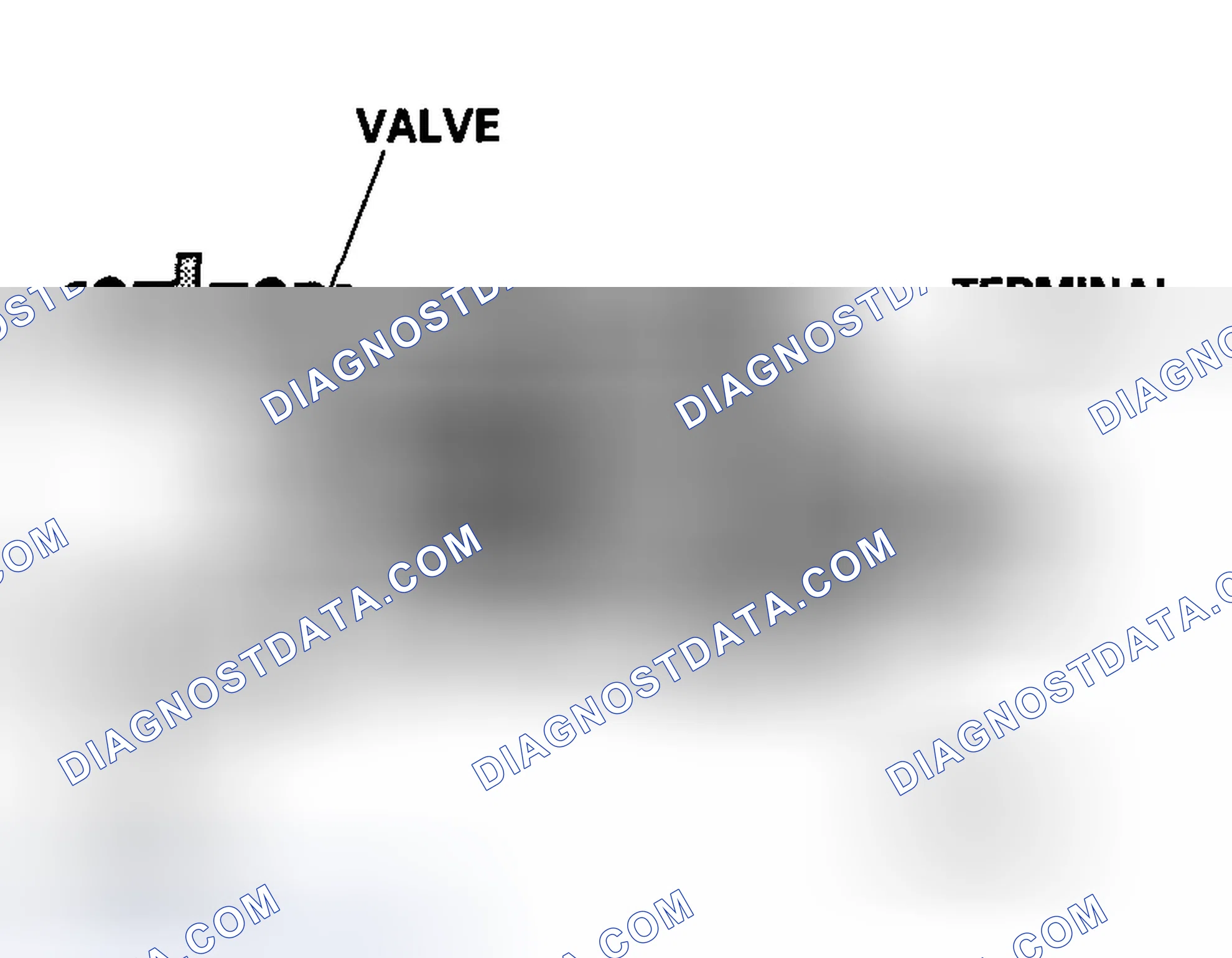 Scheme 47: EVAP Canister Vent Shut Valve
