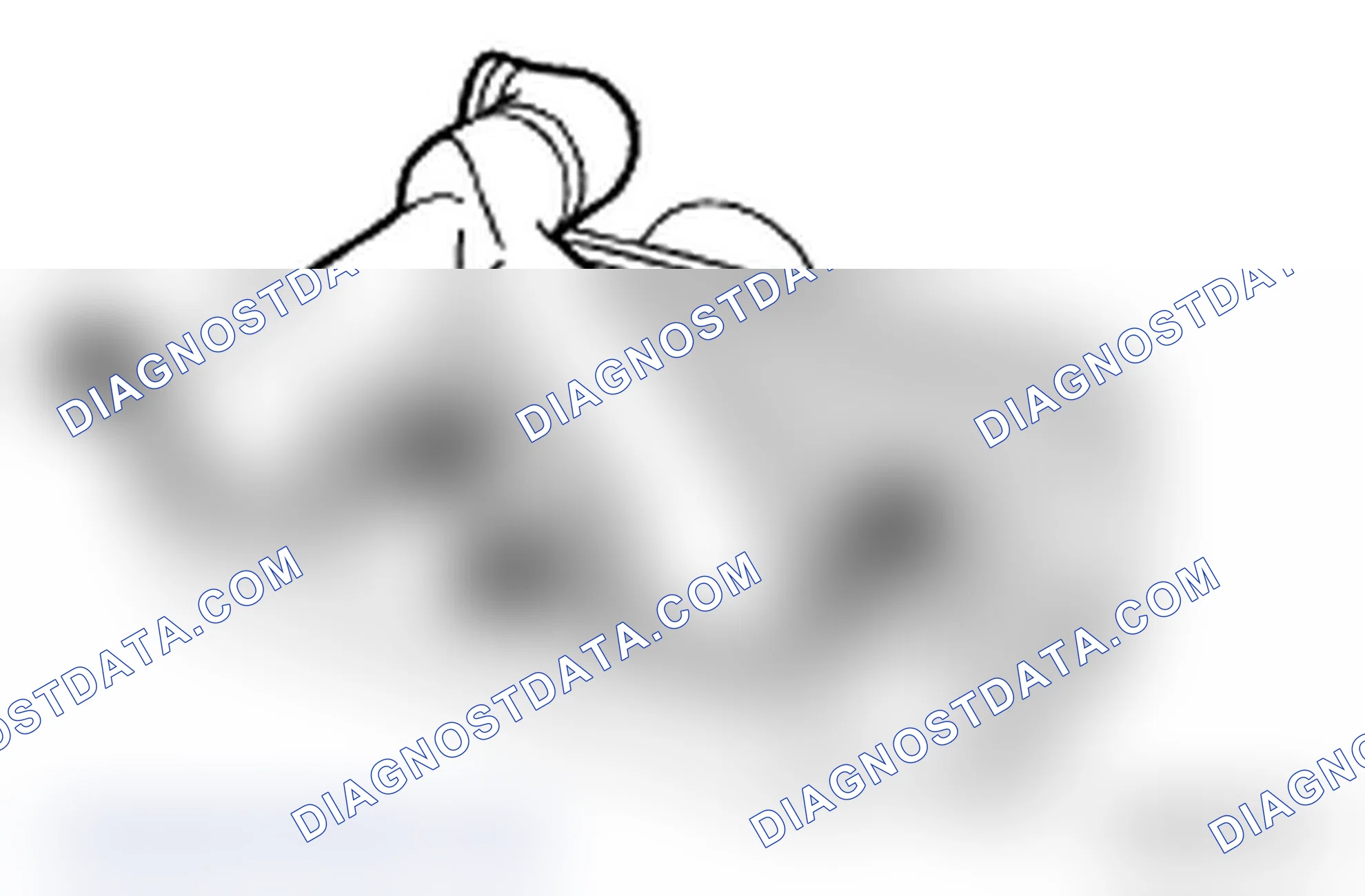 Scheme 483: Locating Intercooler Ducts