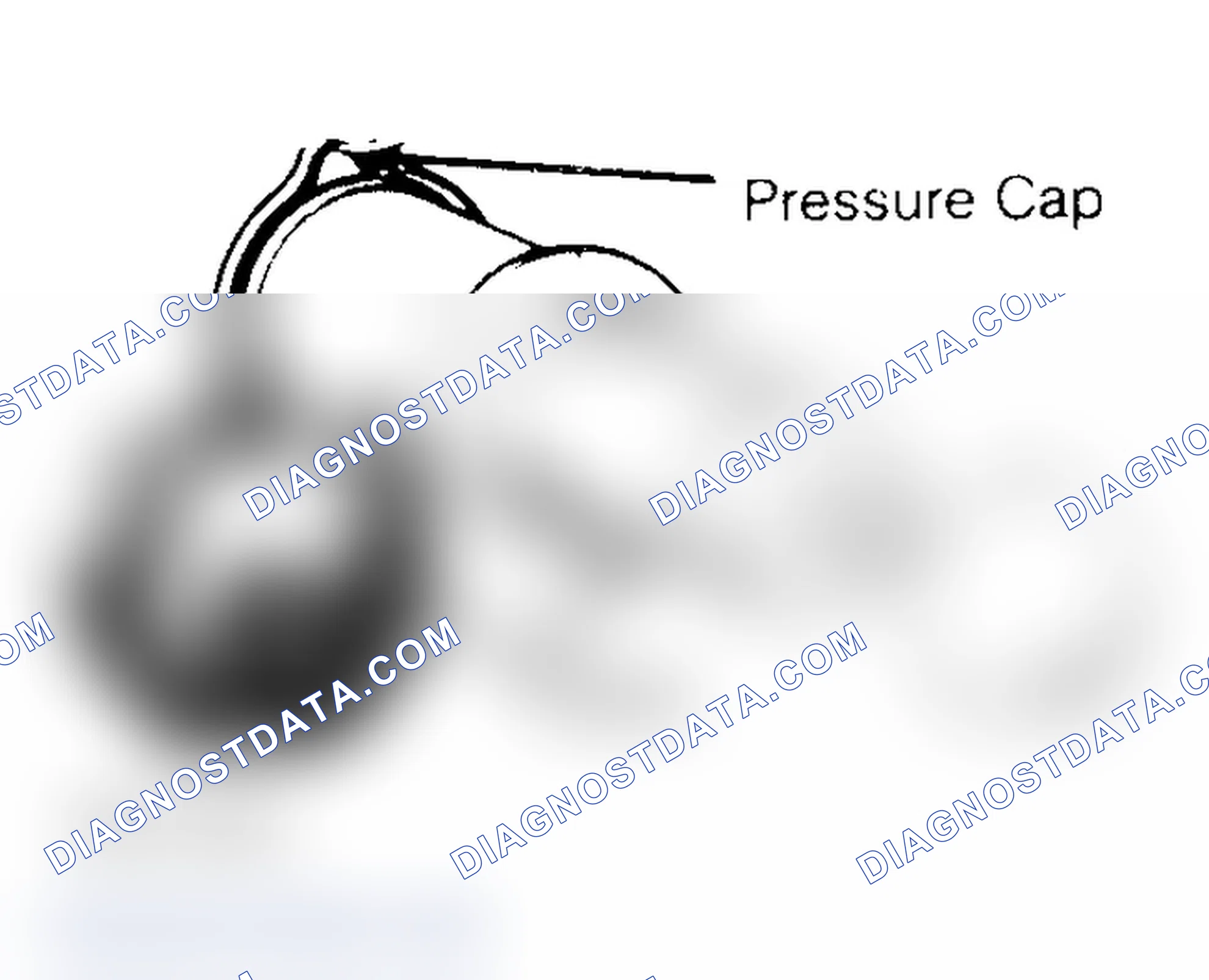 Scheme 2: Pressure Testing Radiator Cap