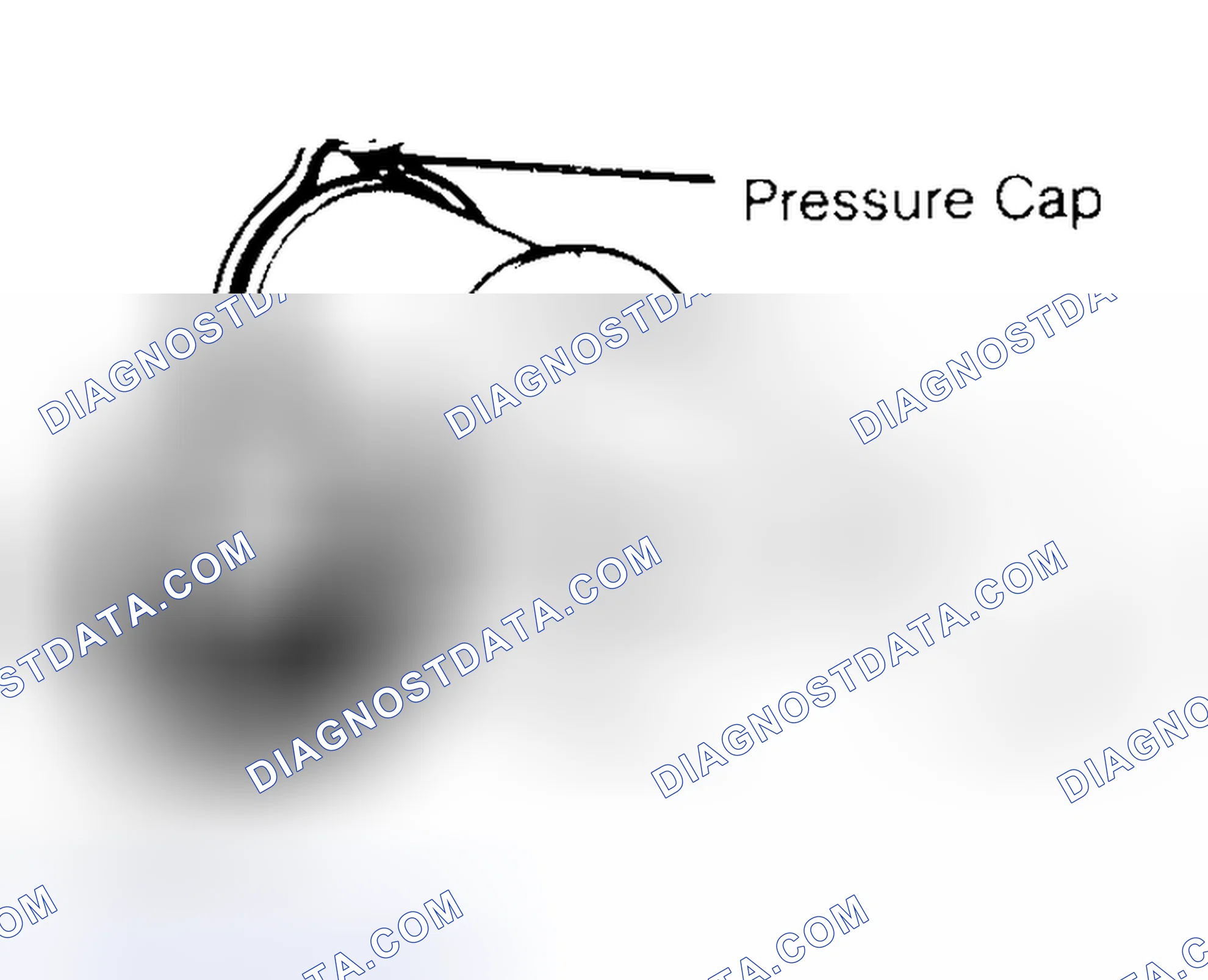 Scheme 2: Pressure Testing Radiator Cap