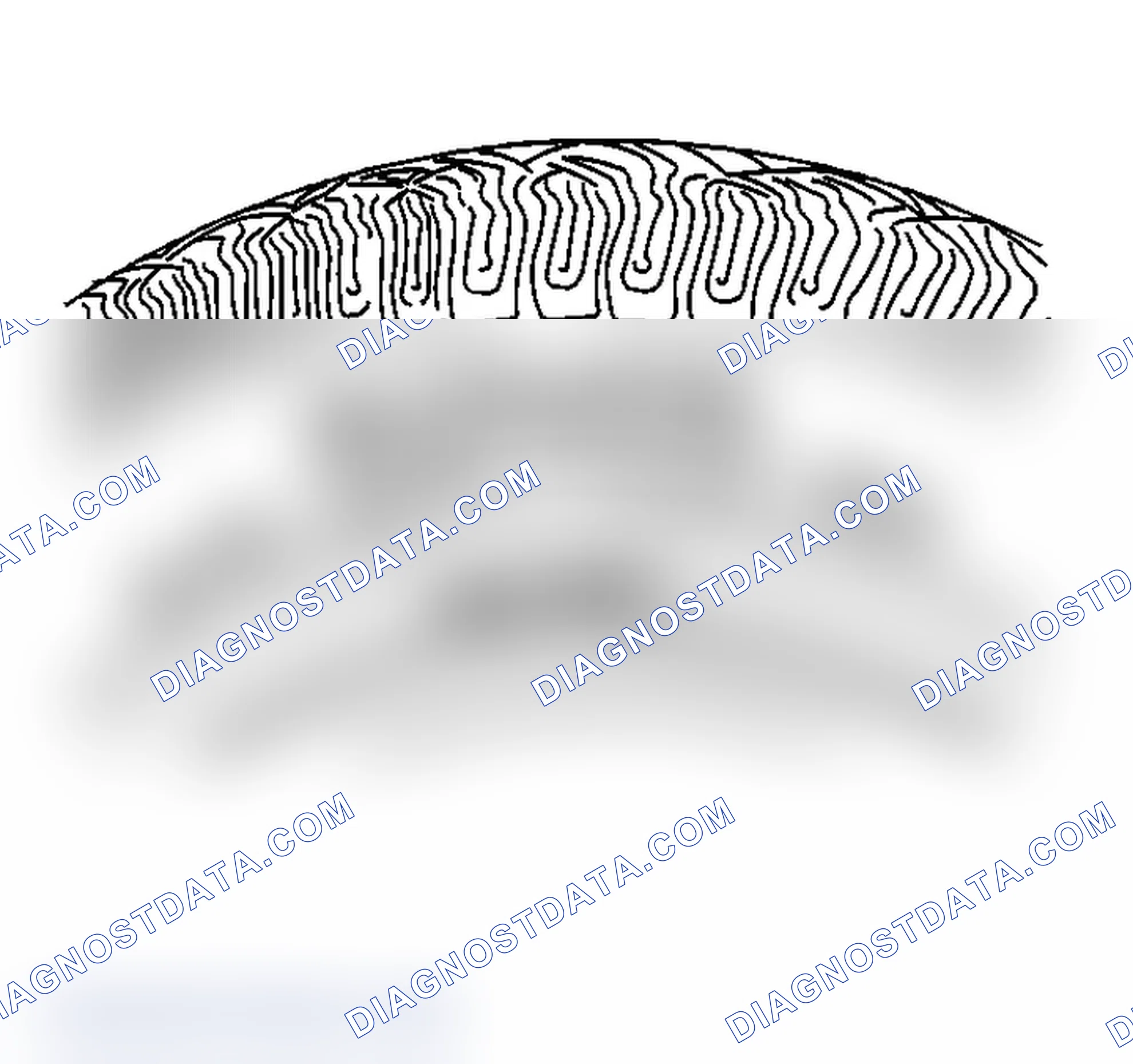 Scheme 2: Tire and Wheel Inspection