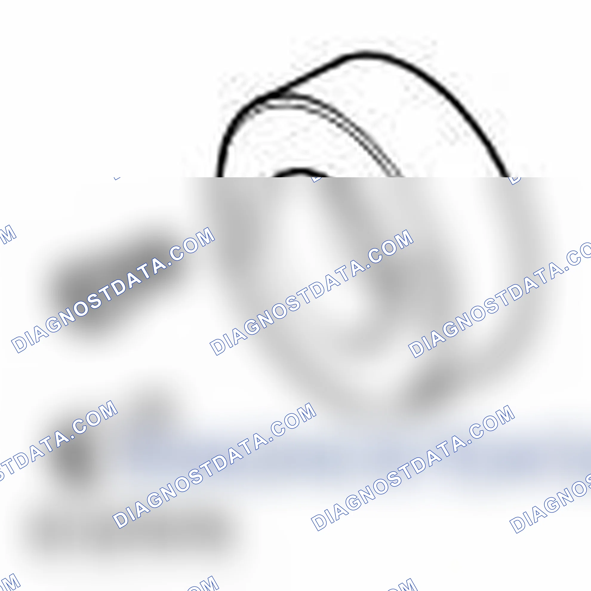 Scheme 323: CRANKSHAFT REAR SEAL