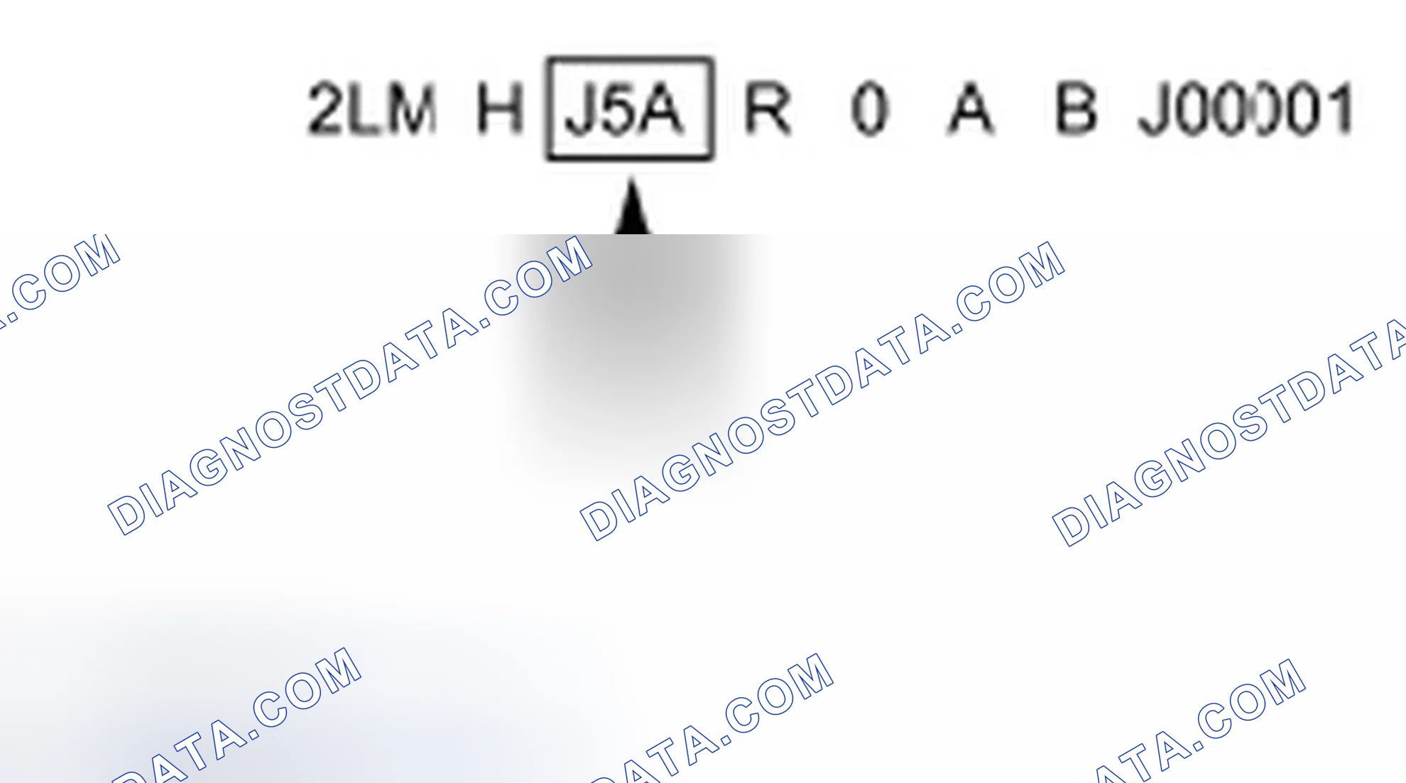 Scheme 5: Vehicle Line and Series