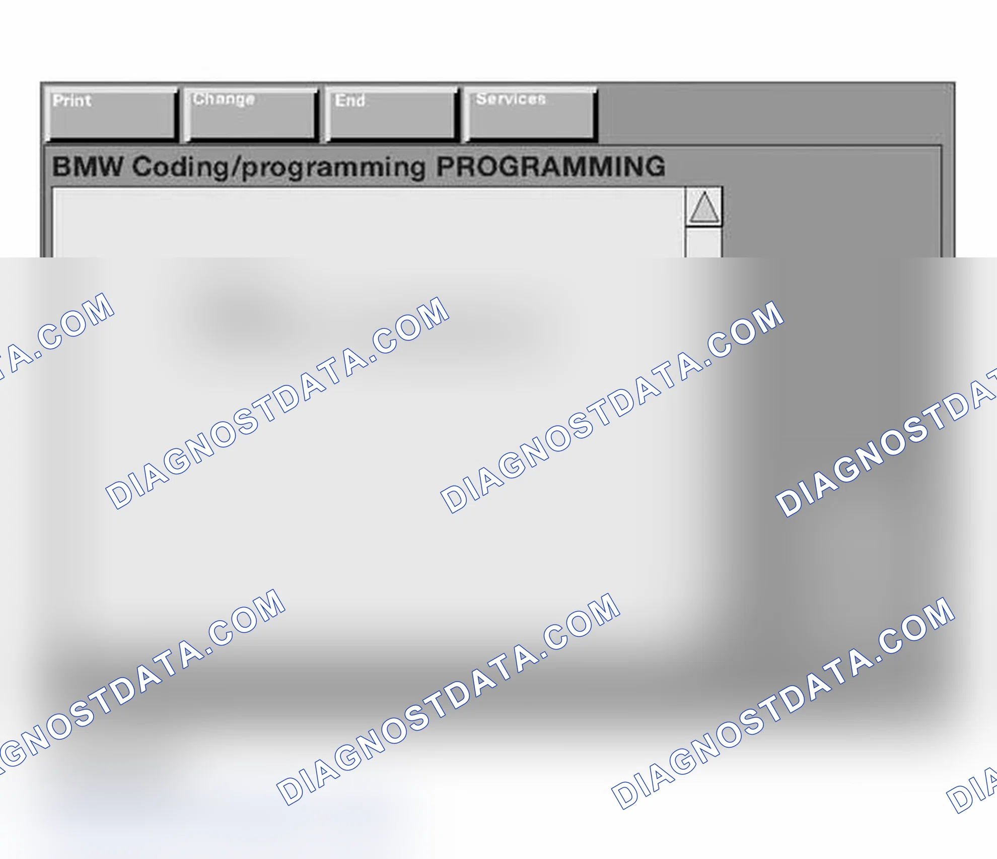 Scheme 495