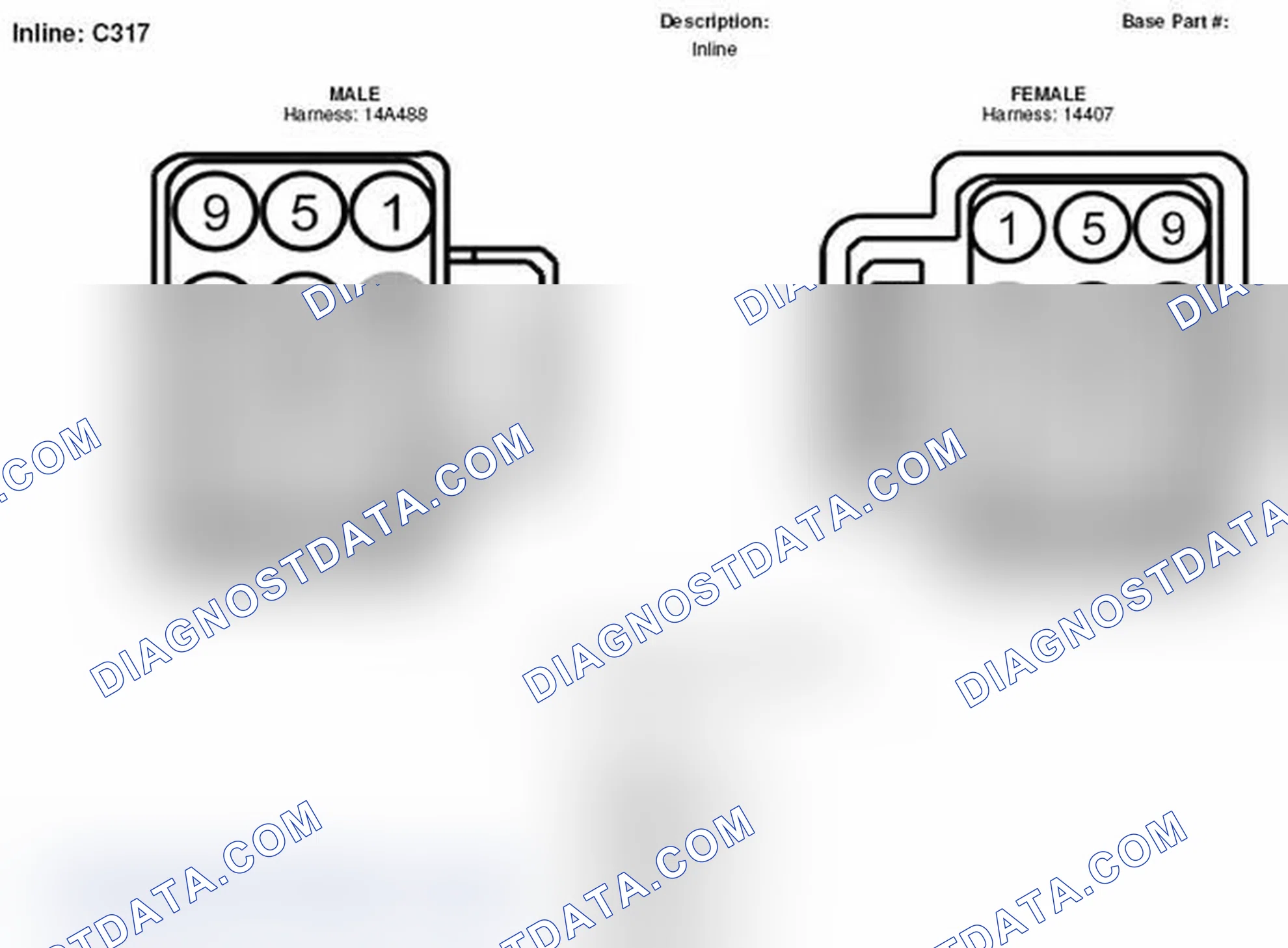 Scheme 134: Inline Connector End View (C317)
