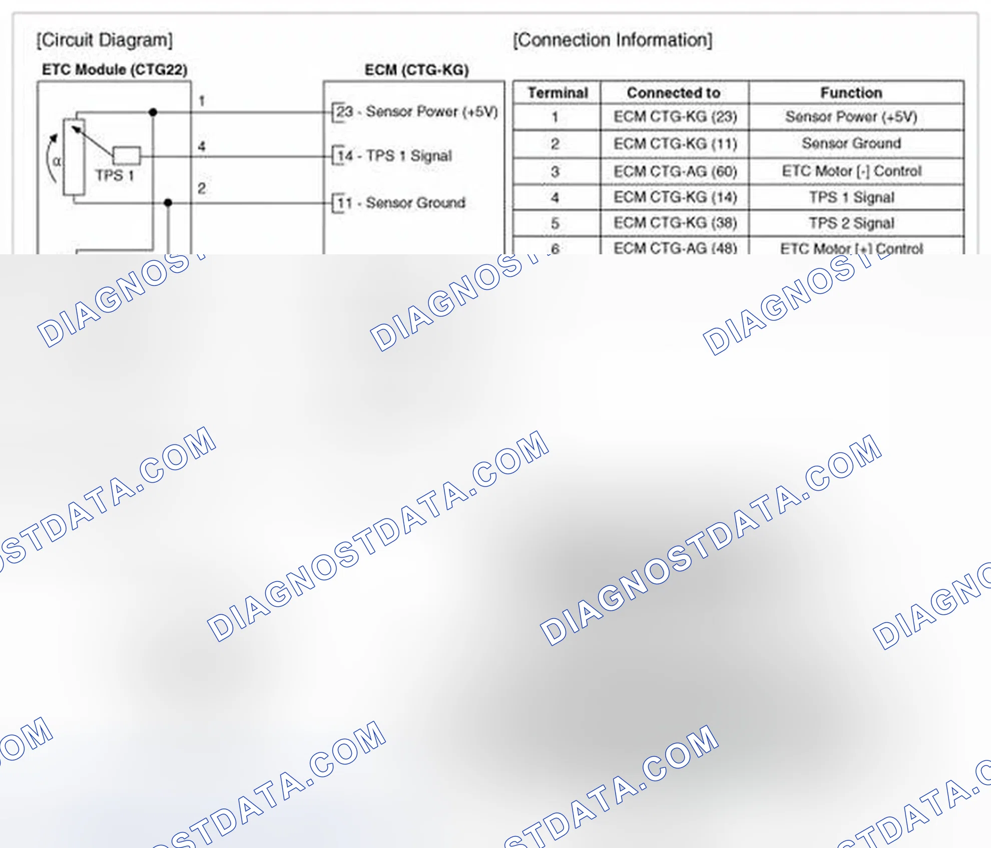 Scheme 323