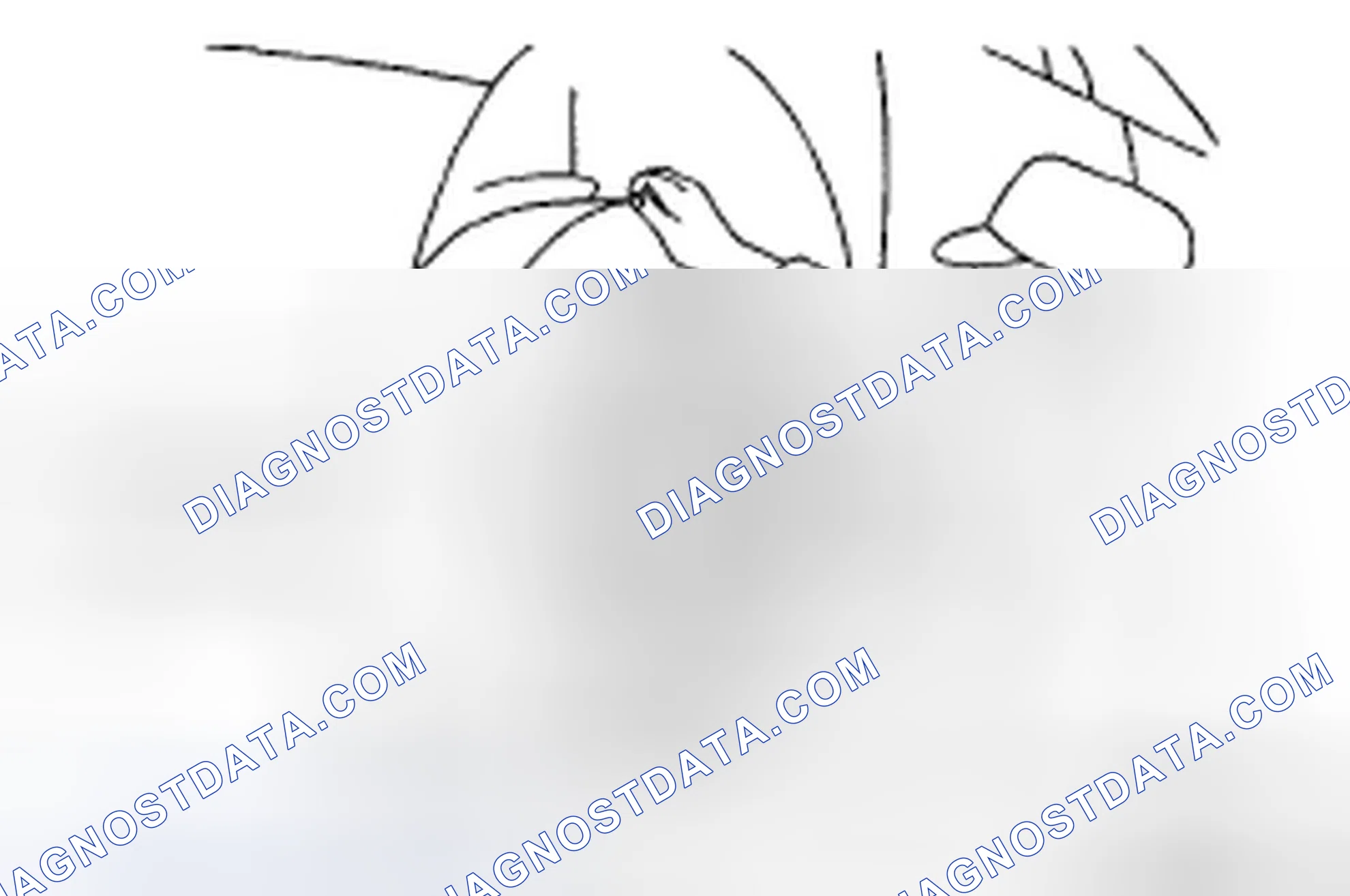 Scheme 77: INSPECTION