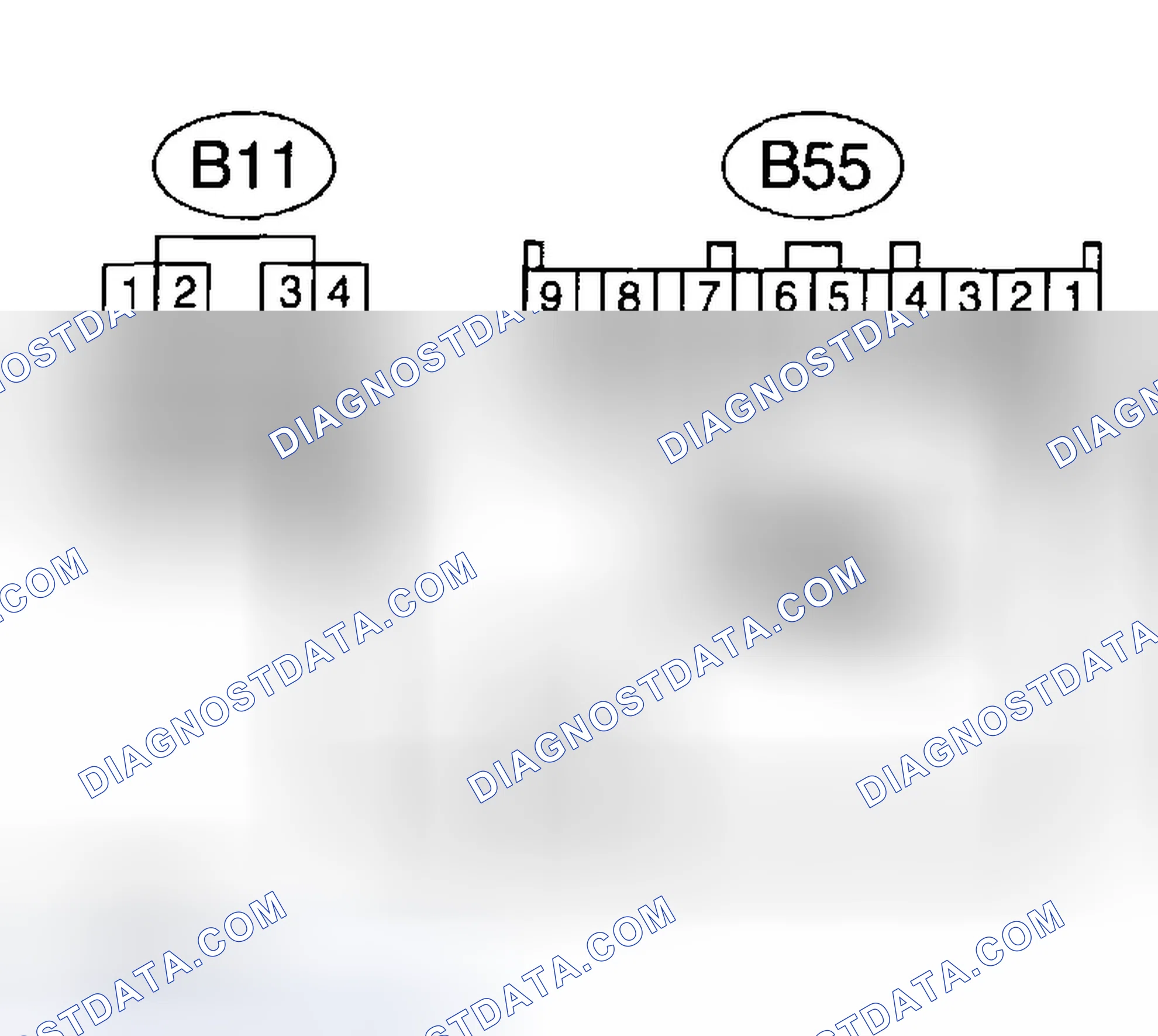 Scheme 419: Diagnostic Procedure