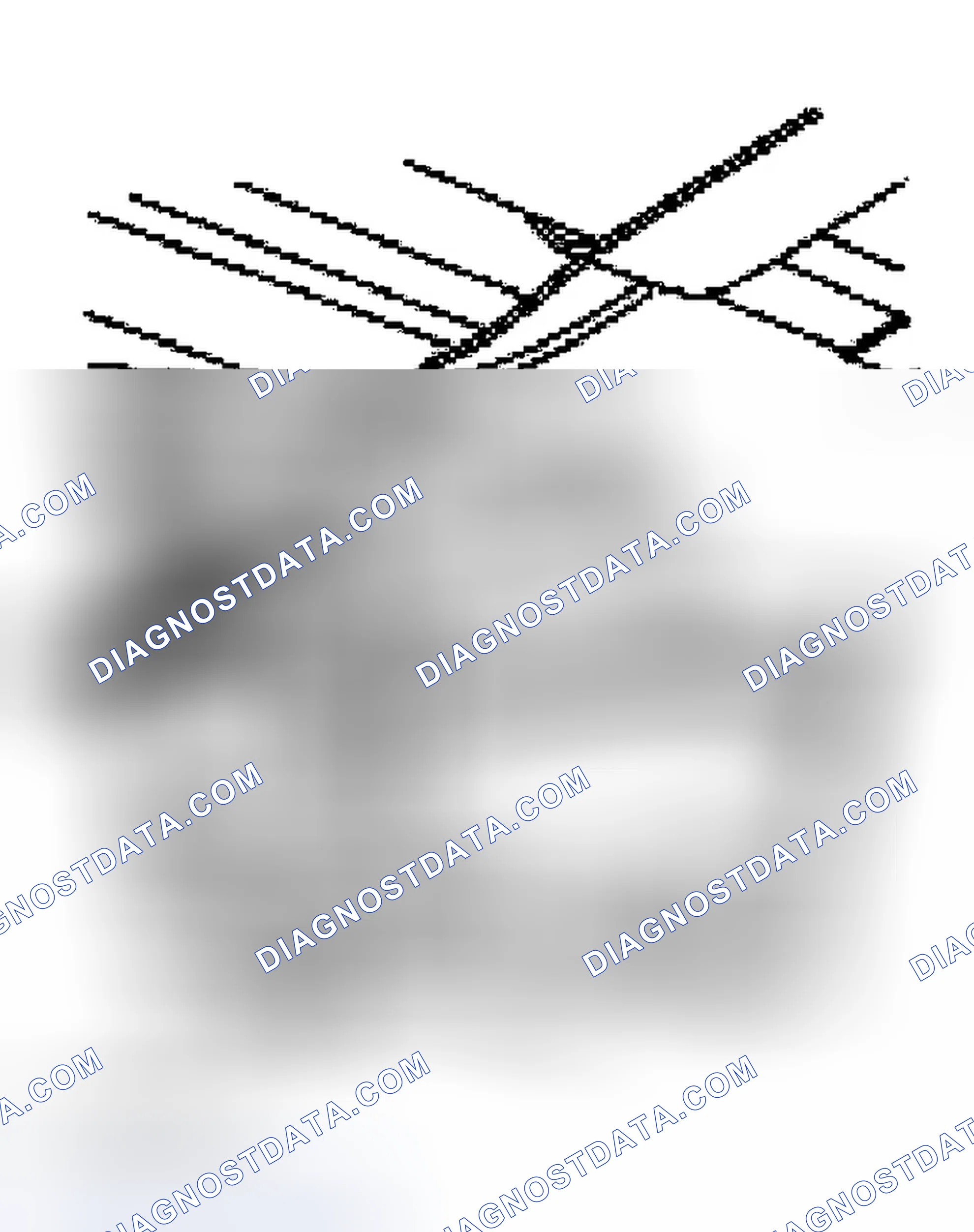 Scheme 350