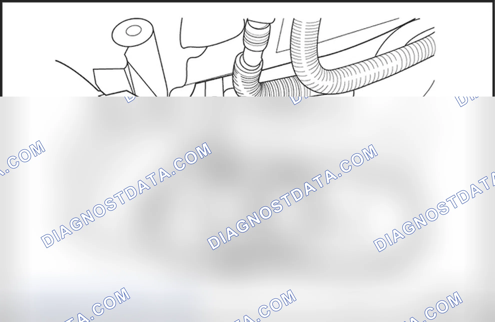 Fuel Pressure Test