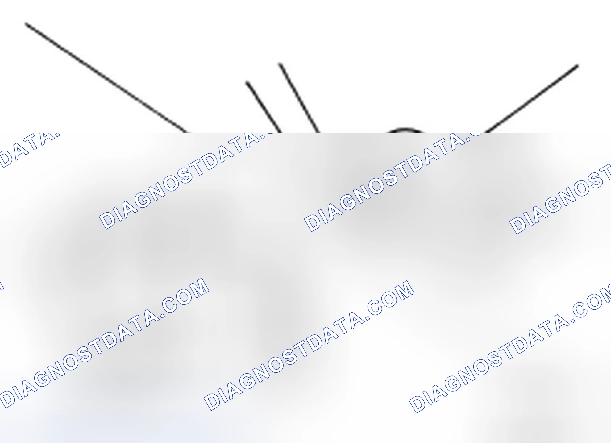 Scheme 41: Changing Brake Fluid