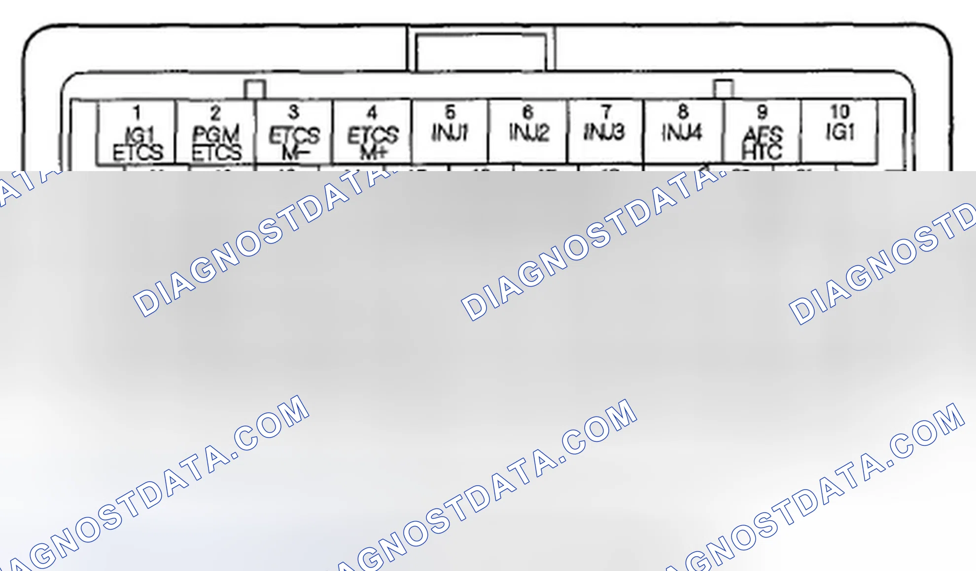 Scheme 15: ECM/PCM Inputs and Outputs at Connector C (o) (49P)