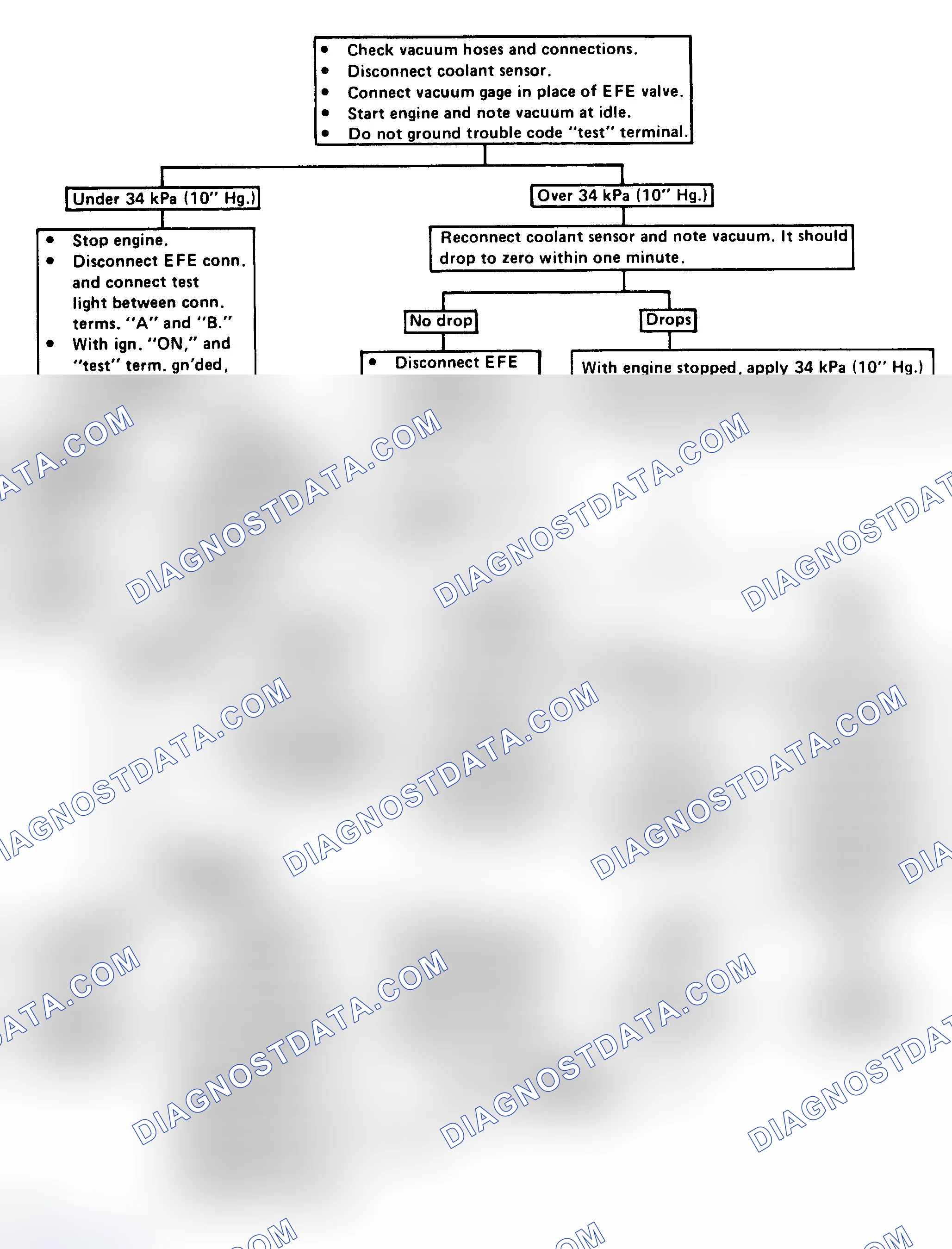 Scheme 221: Flow Chart - EFE (Vacuum Servo) Check