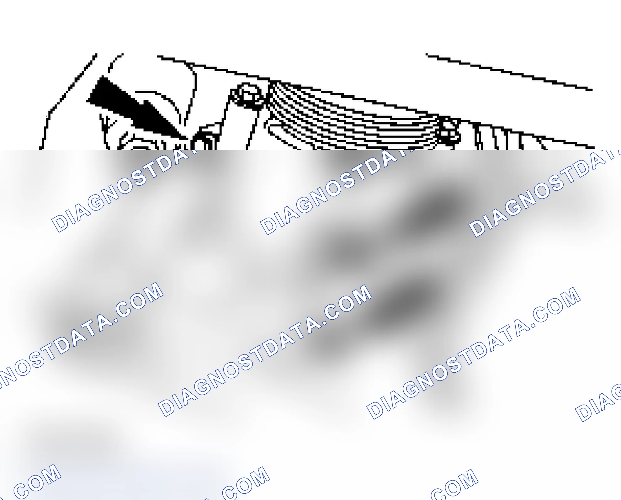 Scheme 457