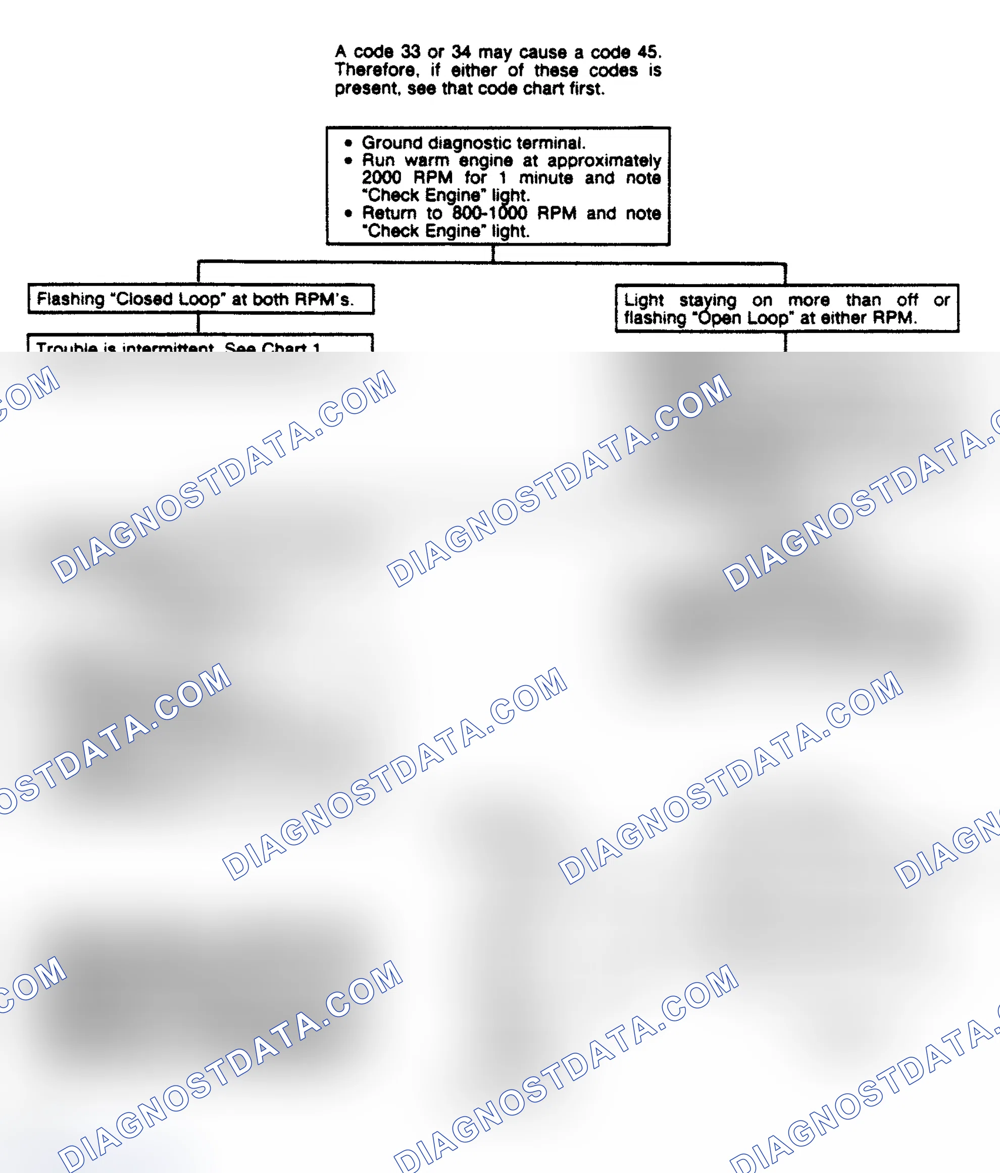 Scheme 307: Code 45: Rich Exhaust Indication Flow Chart