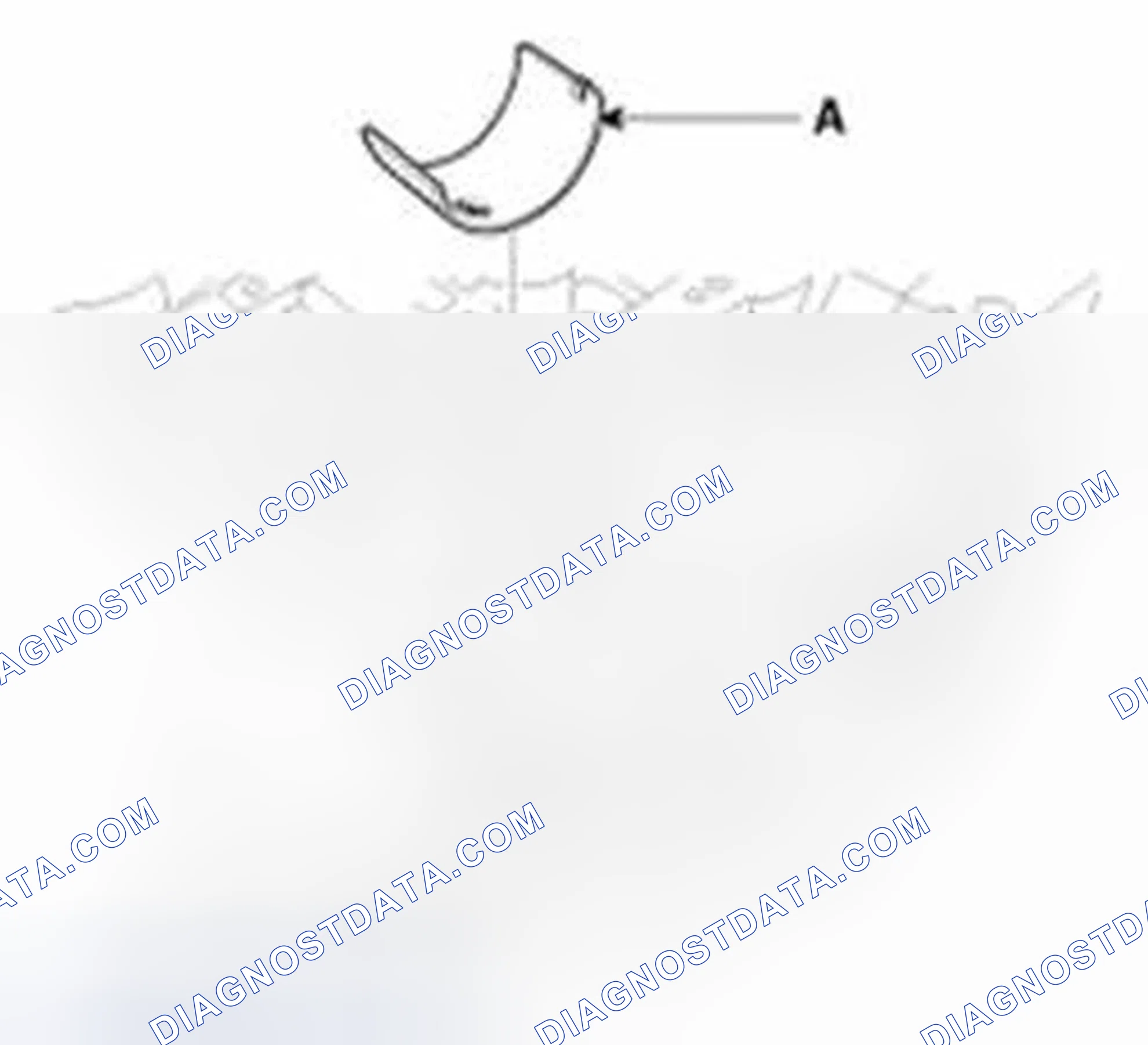 Scheme 107