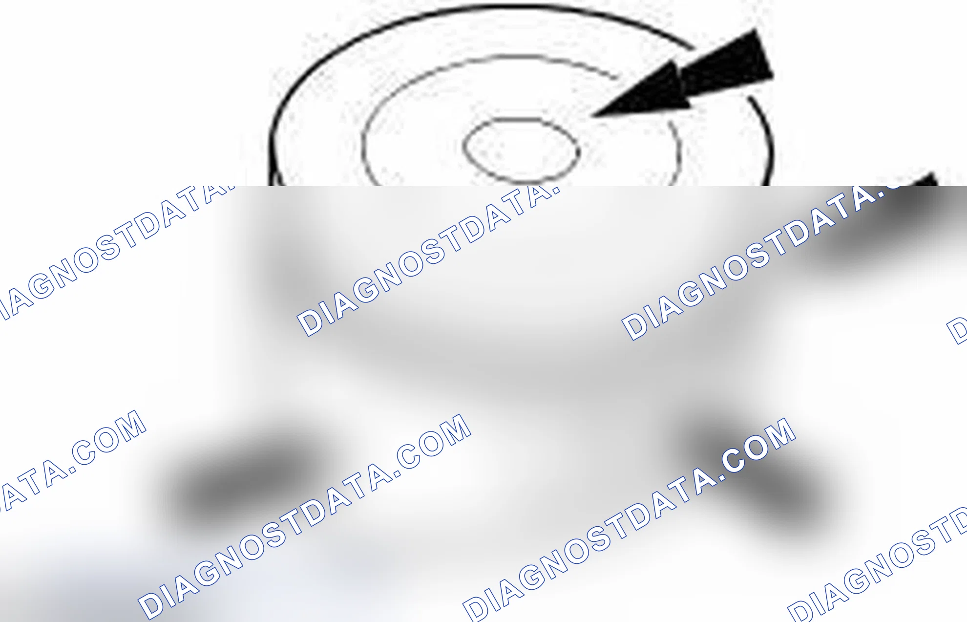 Scheme 253: PISTON INSPECTION