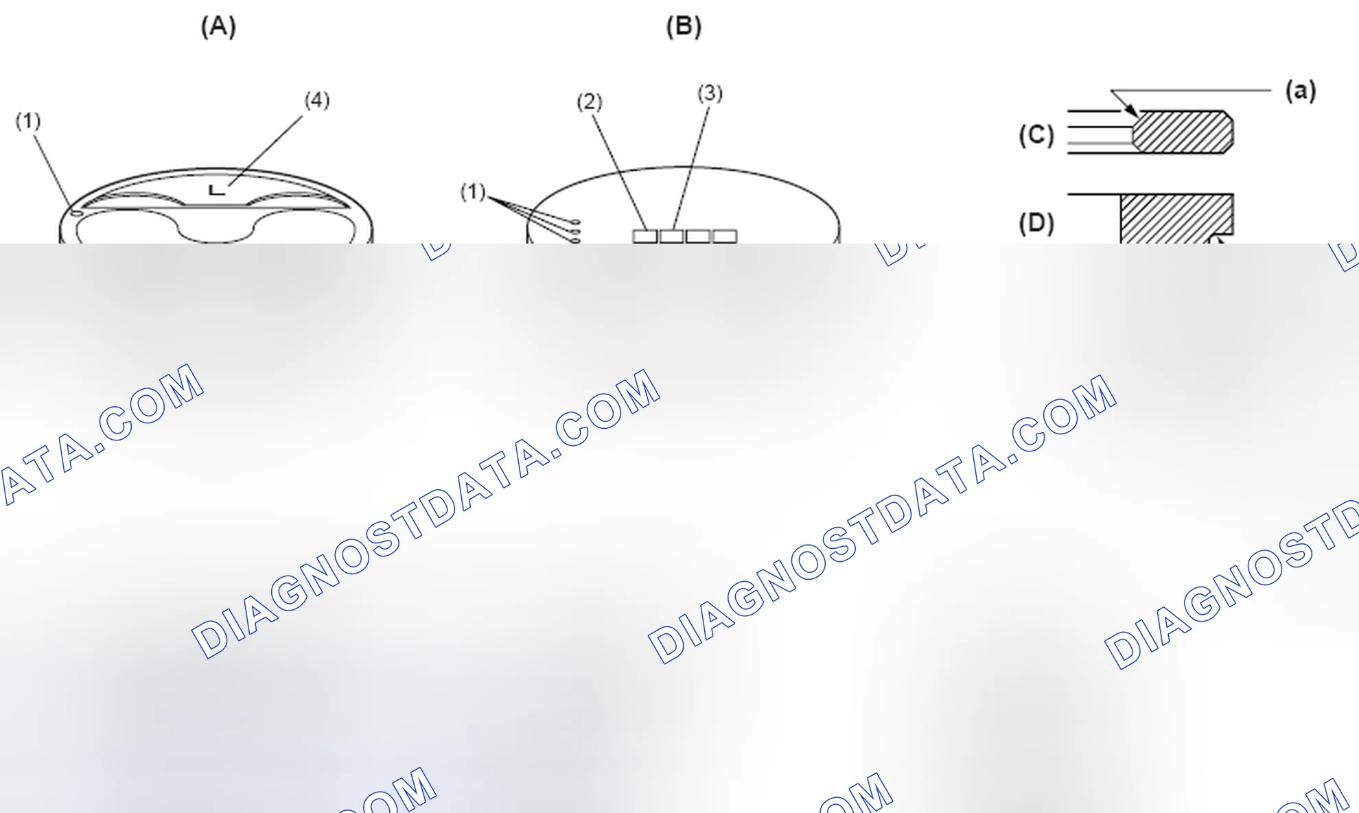 Scheme 29: Piston