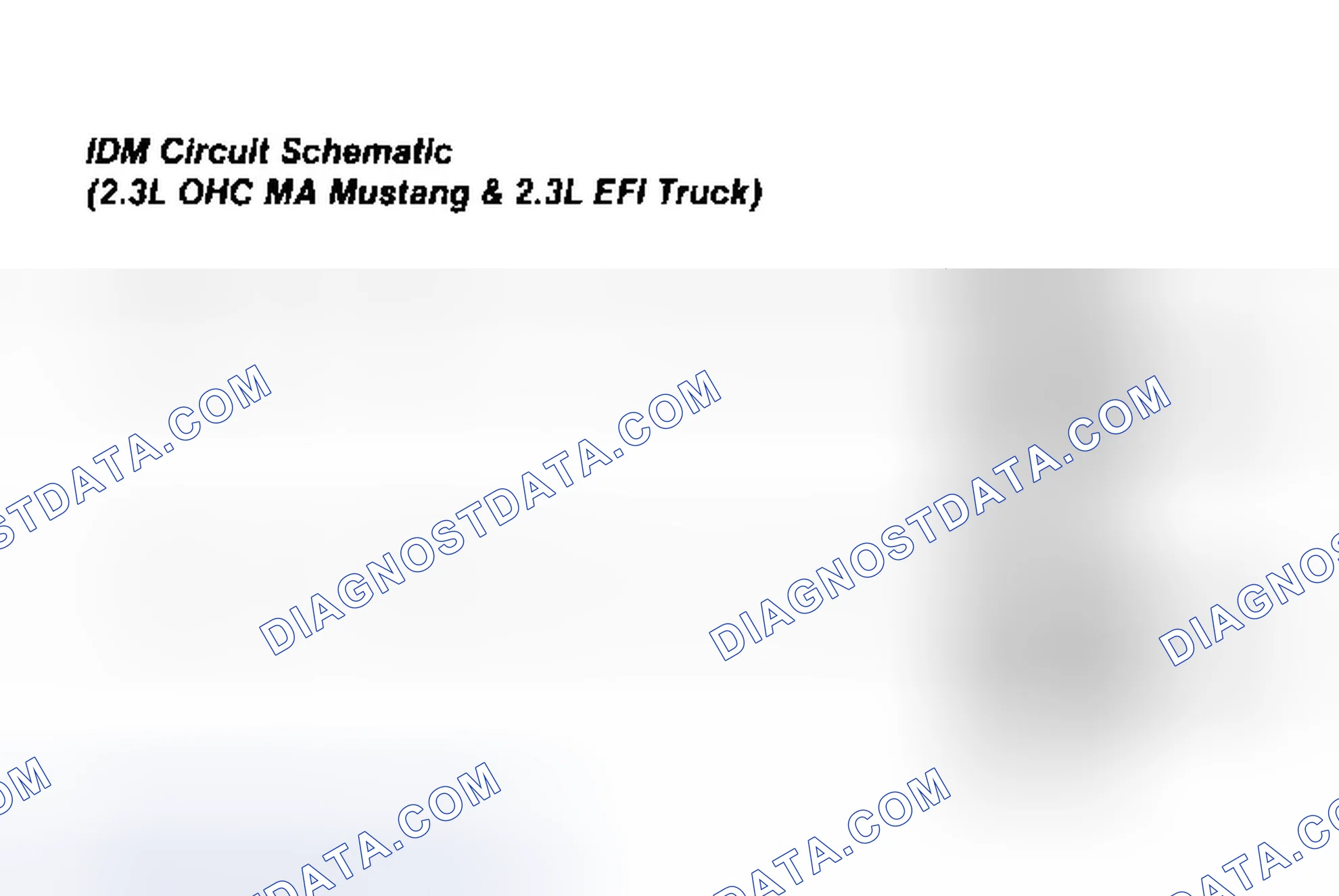 Scheme 100: IDM Circuit Schematic (Mustang 2.3L)