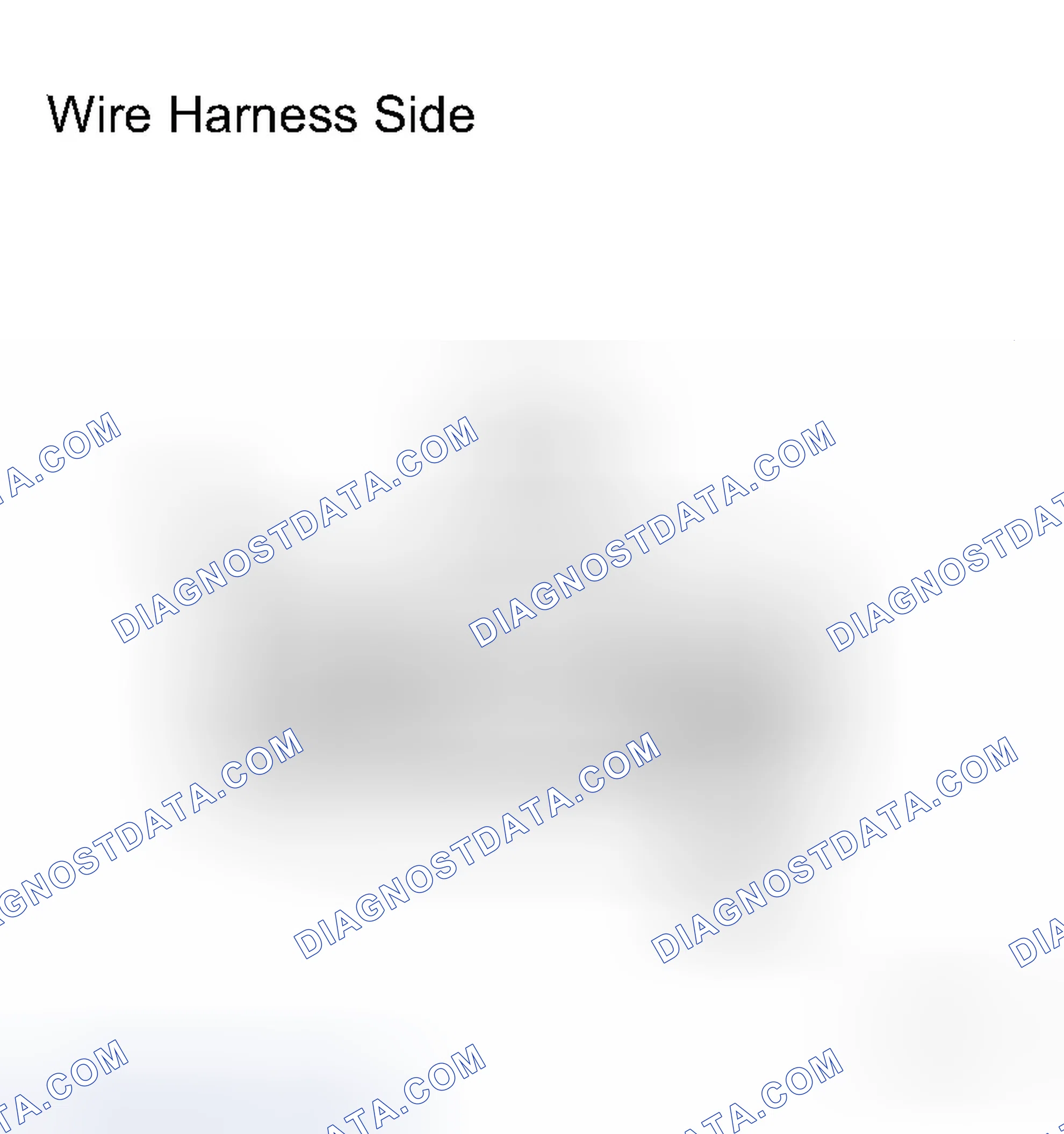 Scheme 124: INSPECTION PROCEDURE