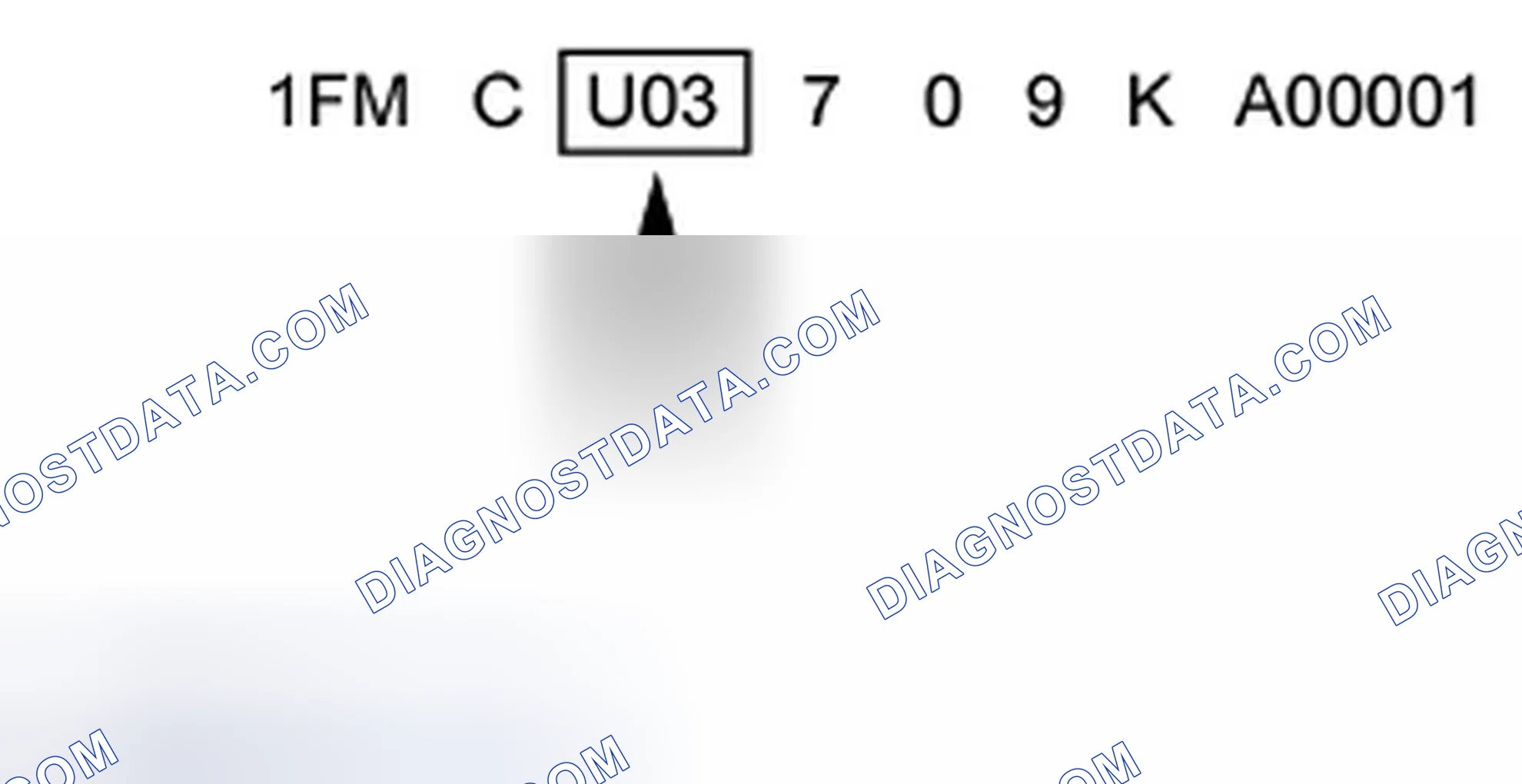 Scheme 5: Line, Series and Body Type