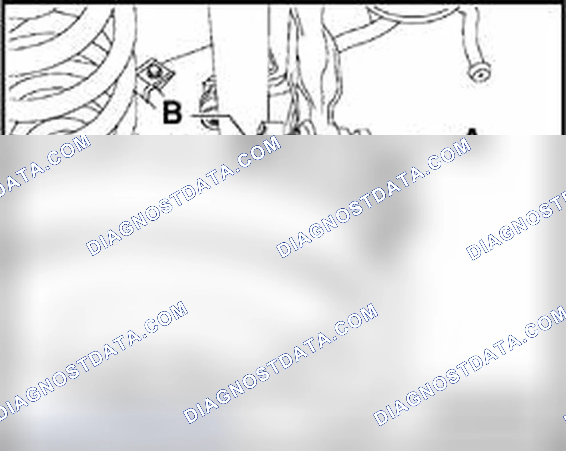 Scheme 291: Rear axle camber, adjusting
