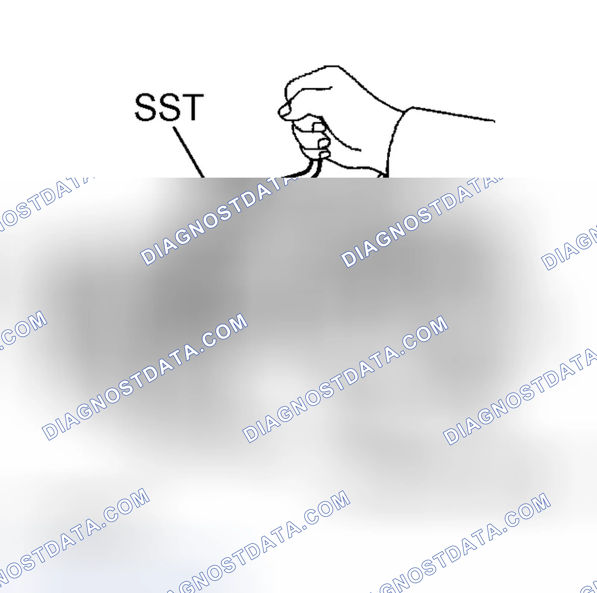 Scheme 335
