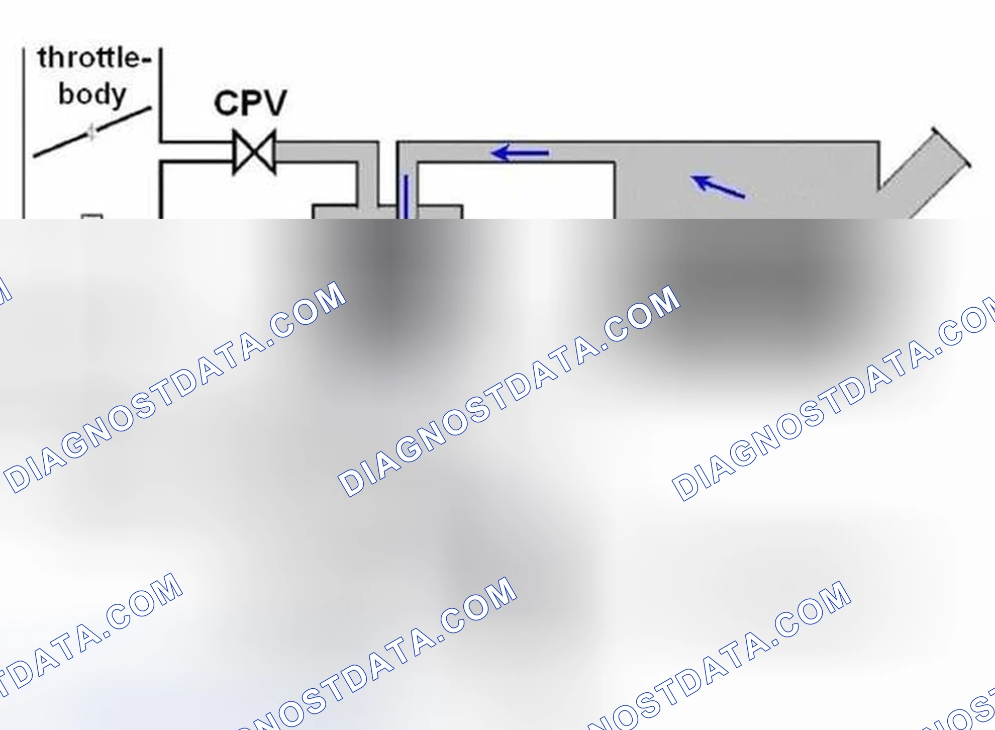 Scheme 372