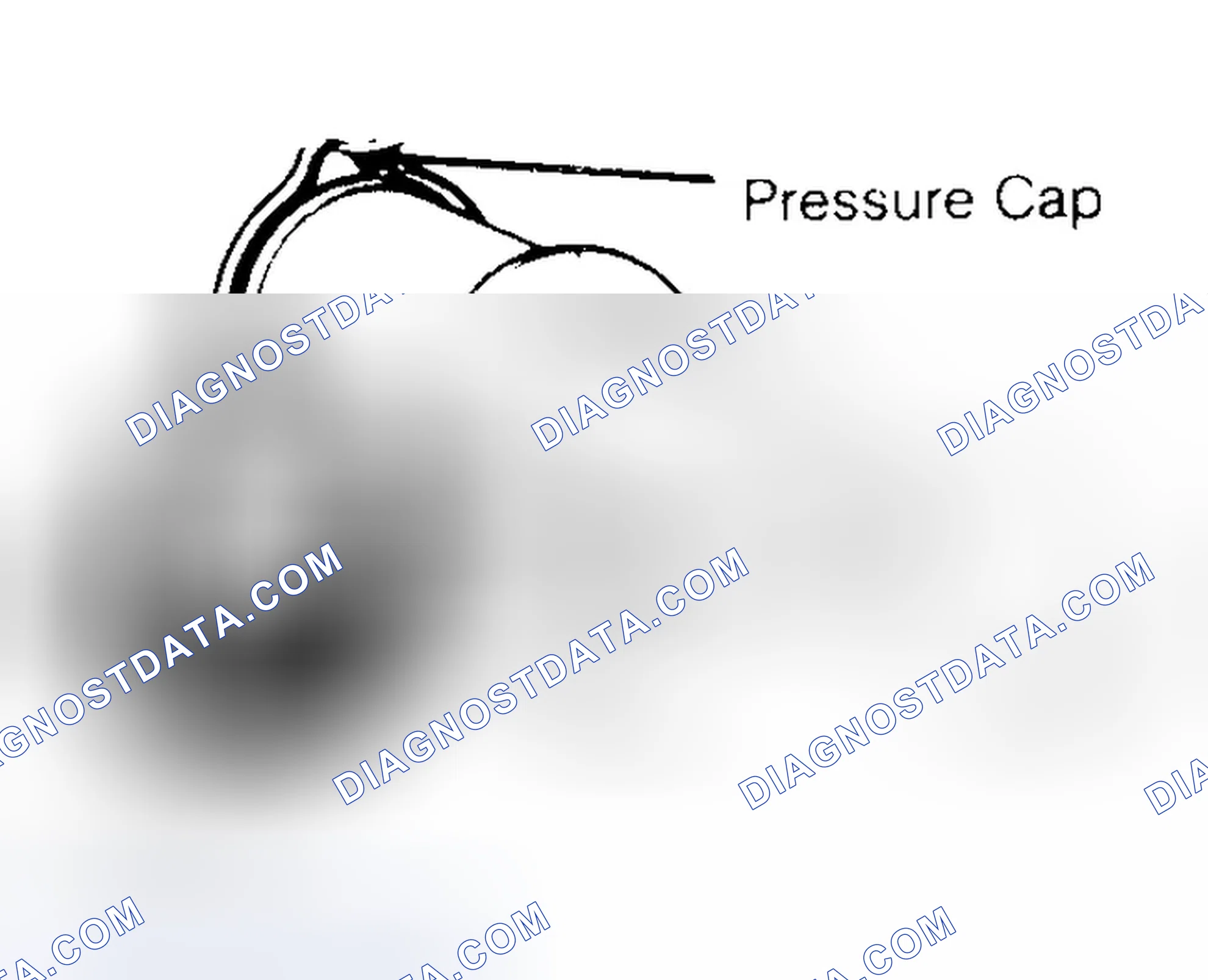 Scheme 2: Pressure Testing Radiator Cap