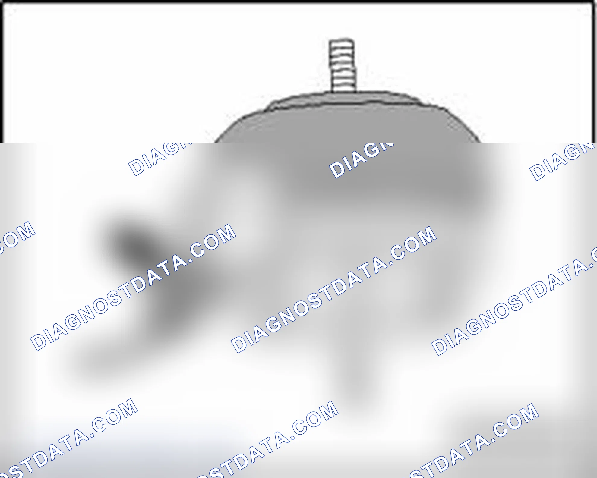 Scheme 703: Leak Detection Pump (LDP) N144 or Right Electro-Hydraulic Engine Mount Solenoid Valve N145 installat