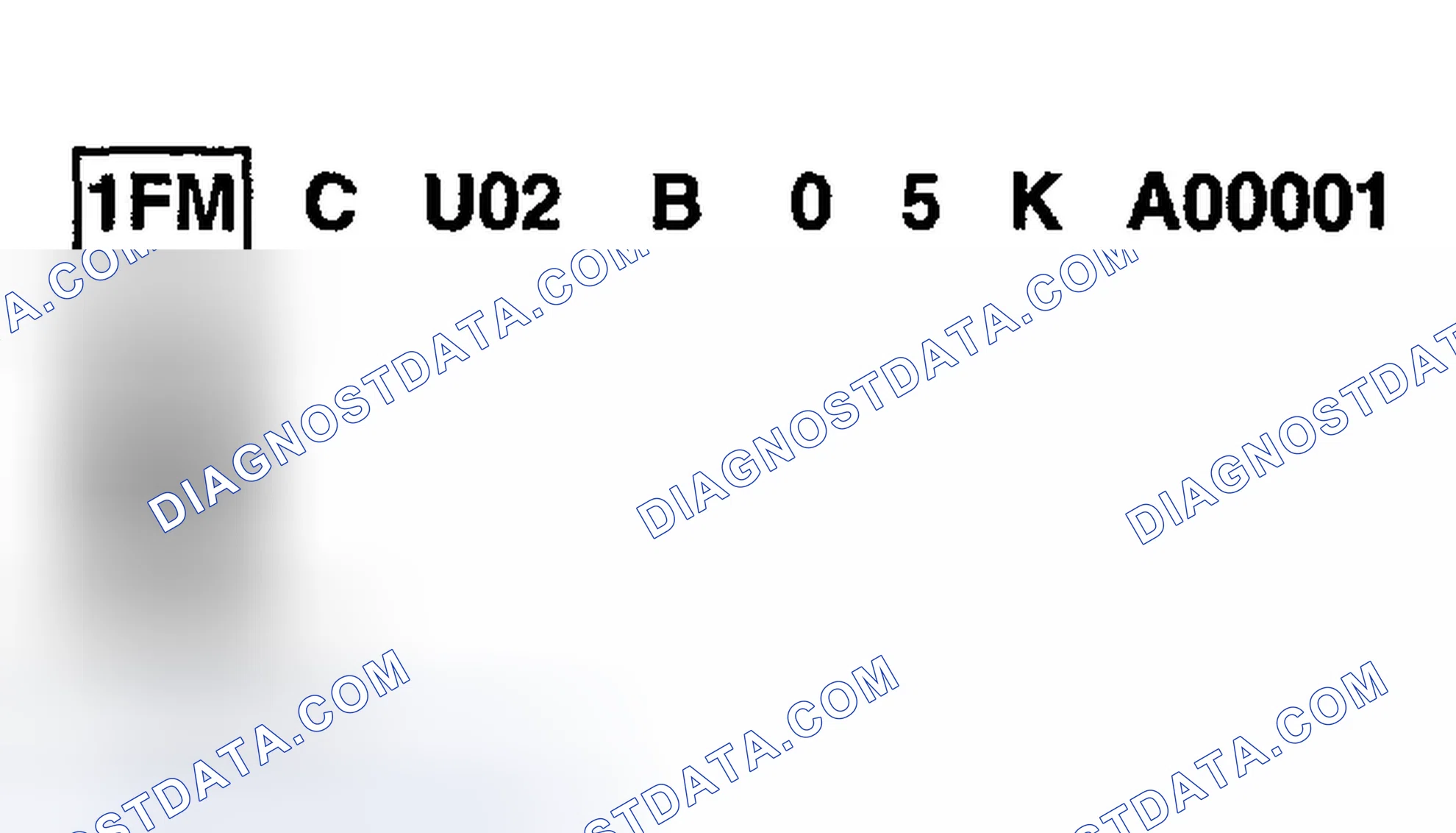 Scheme 2: World Manufacturer Identifier (WMI)