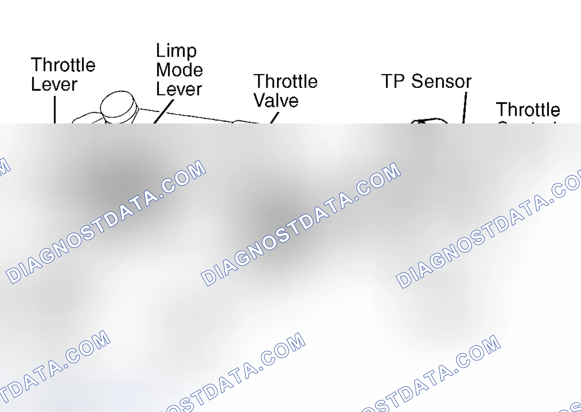 Scheme 524: Land Cruiser, Sequoia, Tundra 4.7L V8 & 4Runner