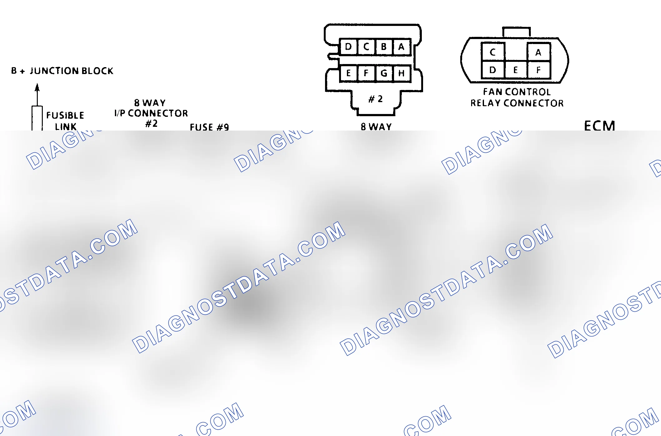 Scheme 65: Diagnostic Aids