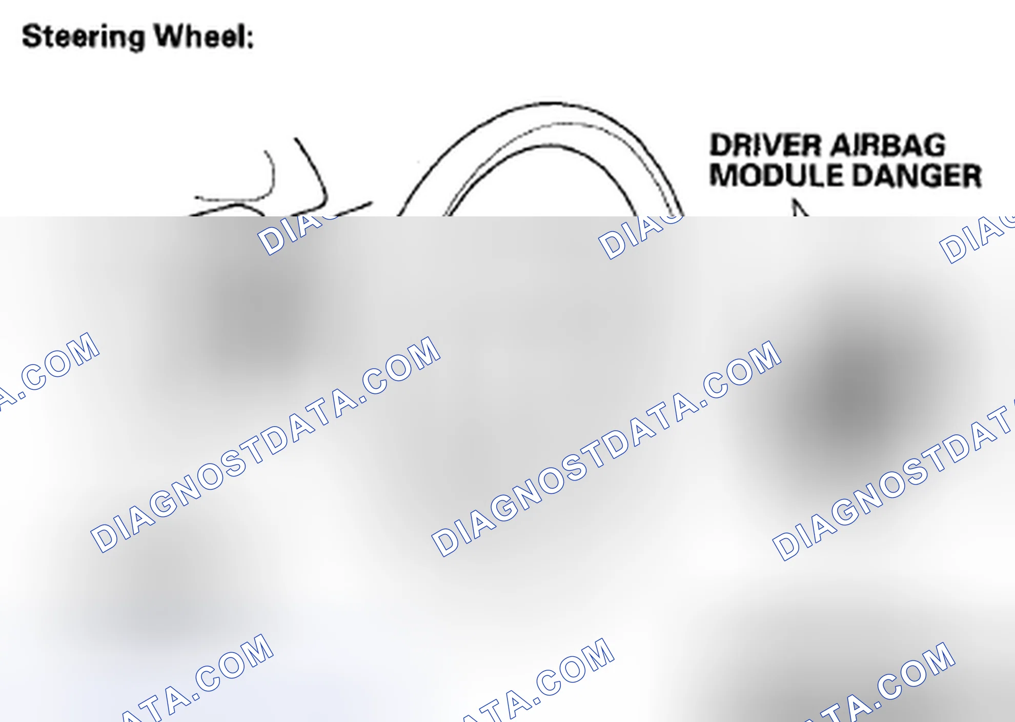 Scheme 7: Identifying Danger/Warning/Caution Label Locations - Steering Wheel