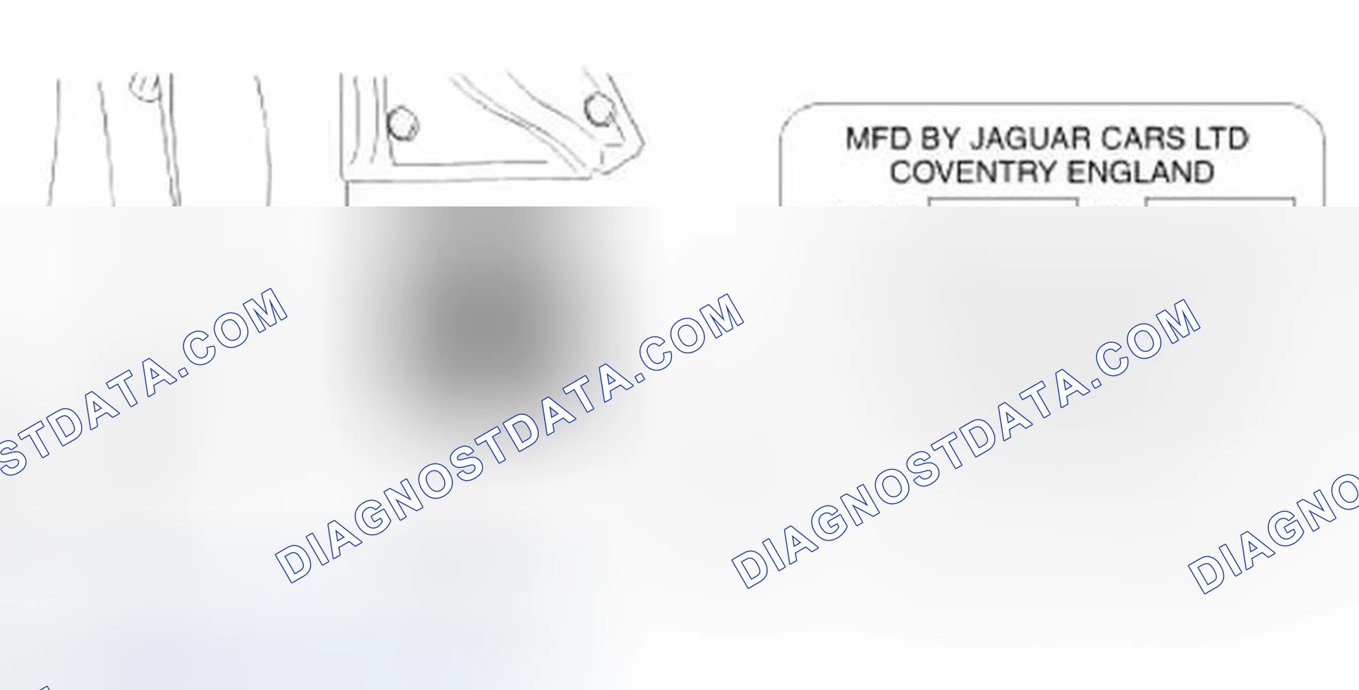 Scheme 1: Date of Manufacture (Certain markets only)