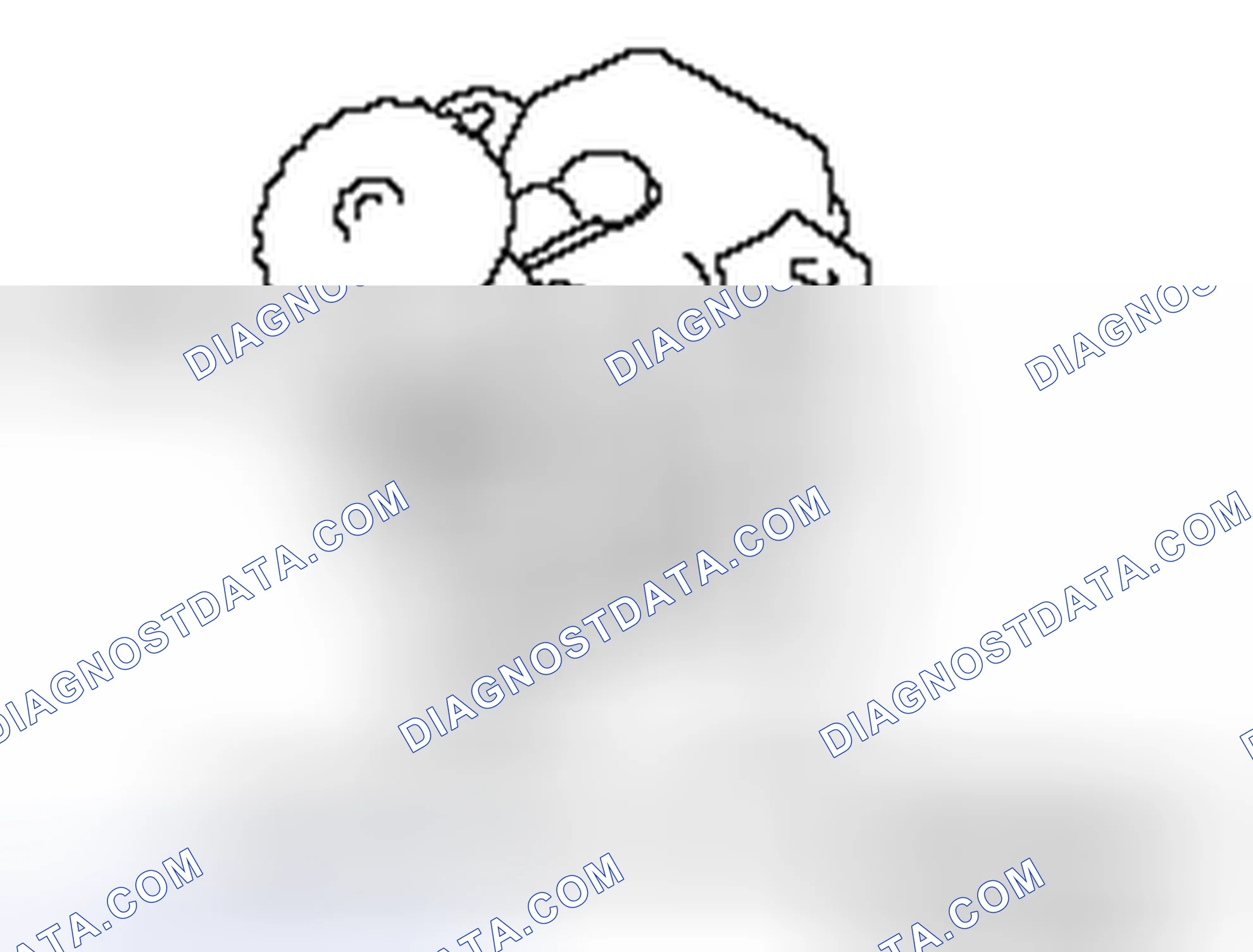 Scheme 43: >> B << BLEEDING OF MASTER CYLINDER ASSEMBLY
