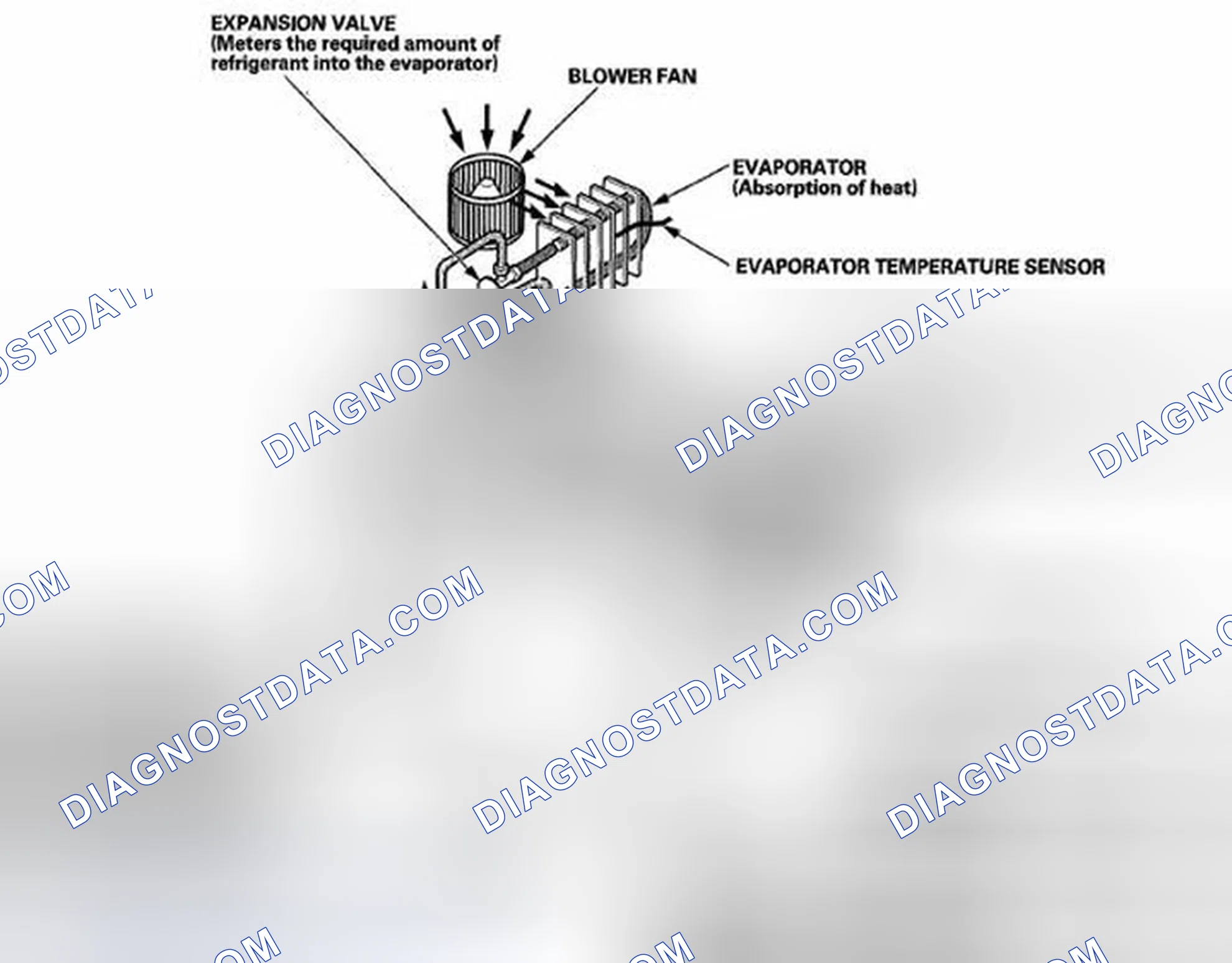 Scheme 5: System Description