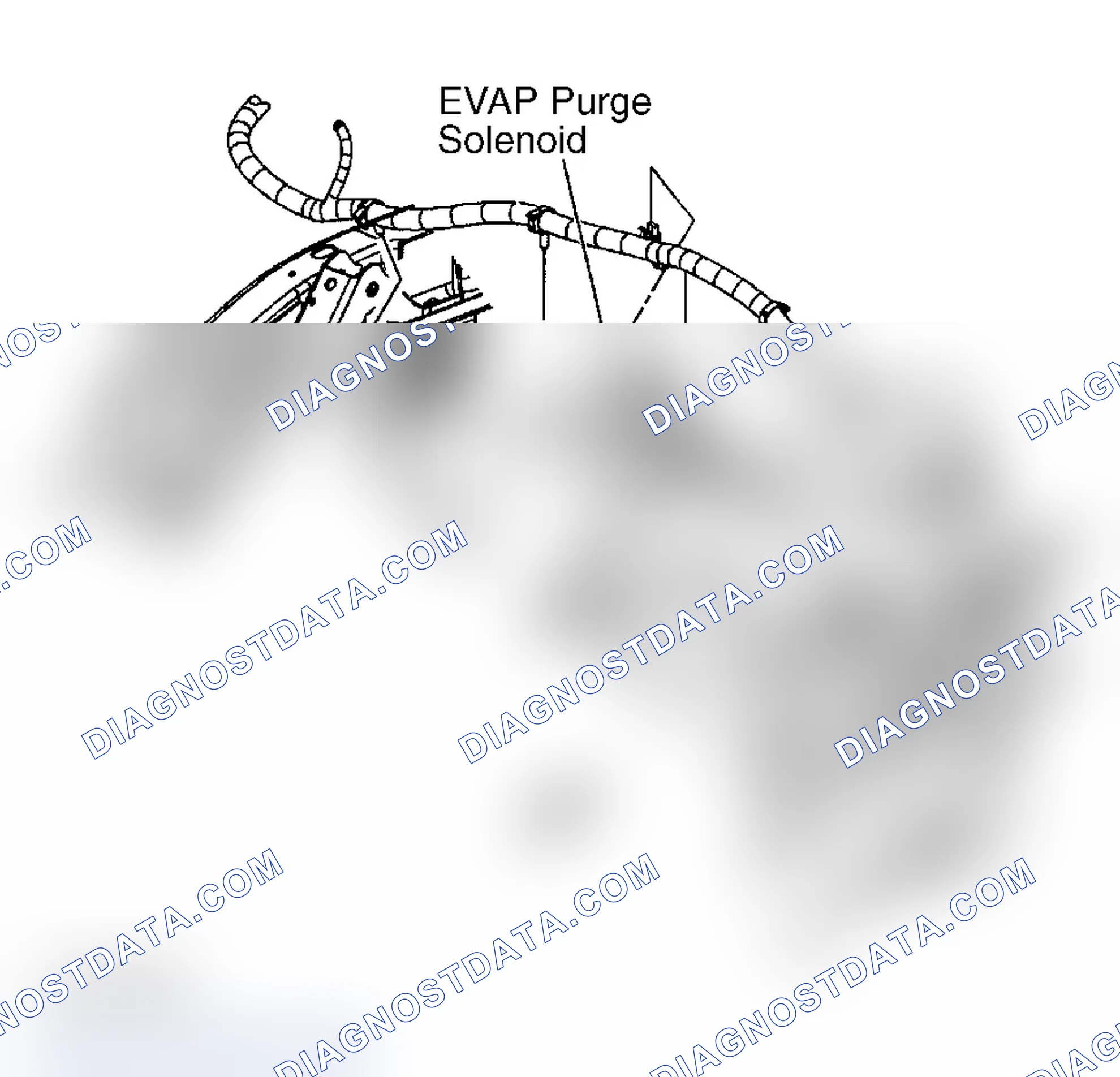 Scheme 17: EVAP Canister Purge Solenoid
