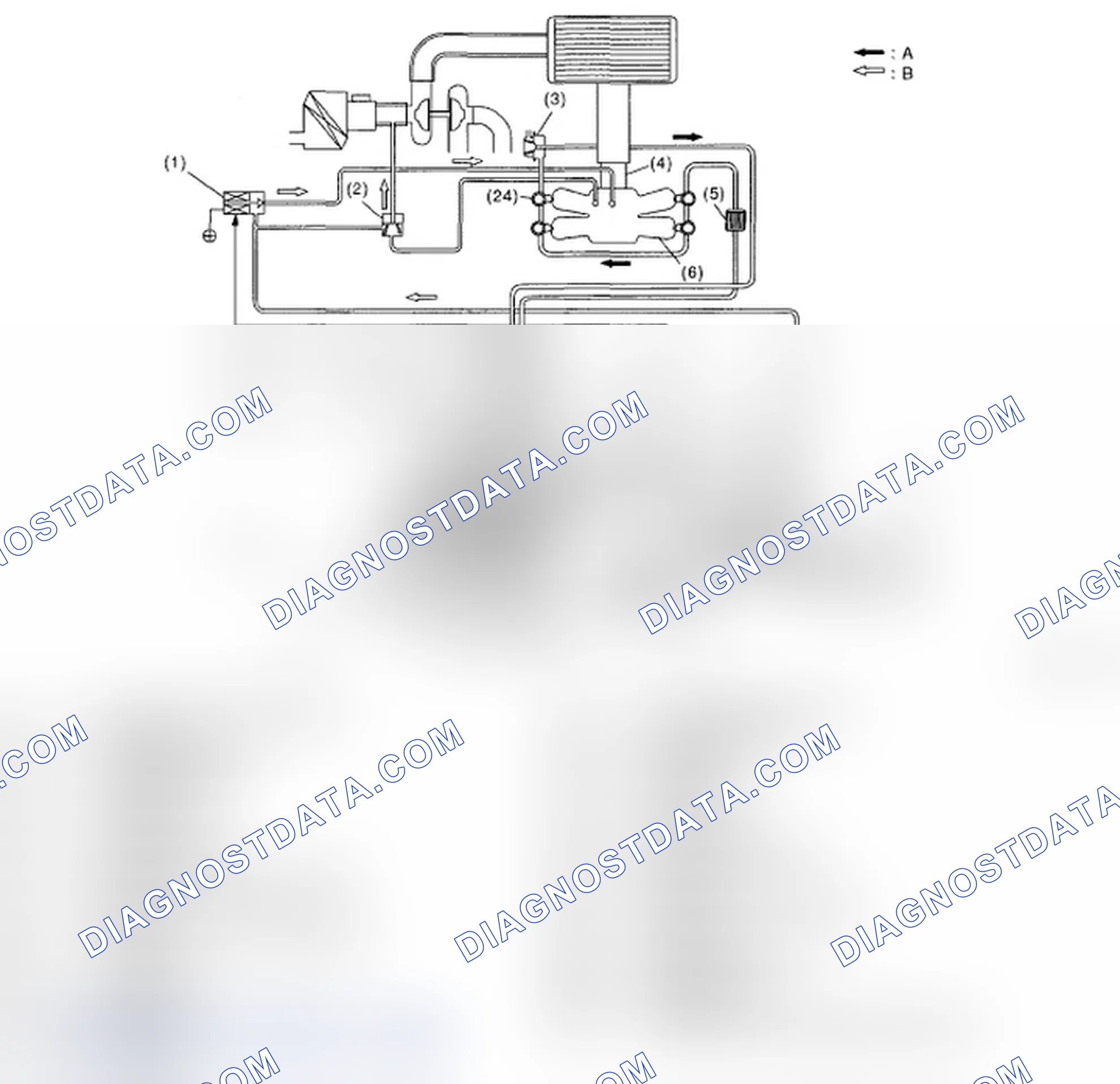 Scheme 247: OUTLINE OF DIAGNOSIS