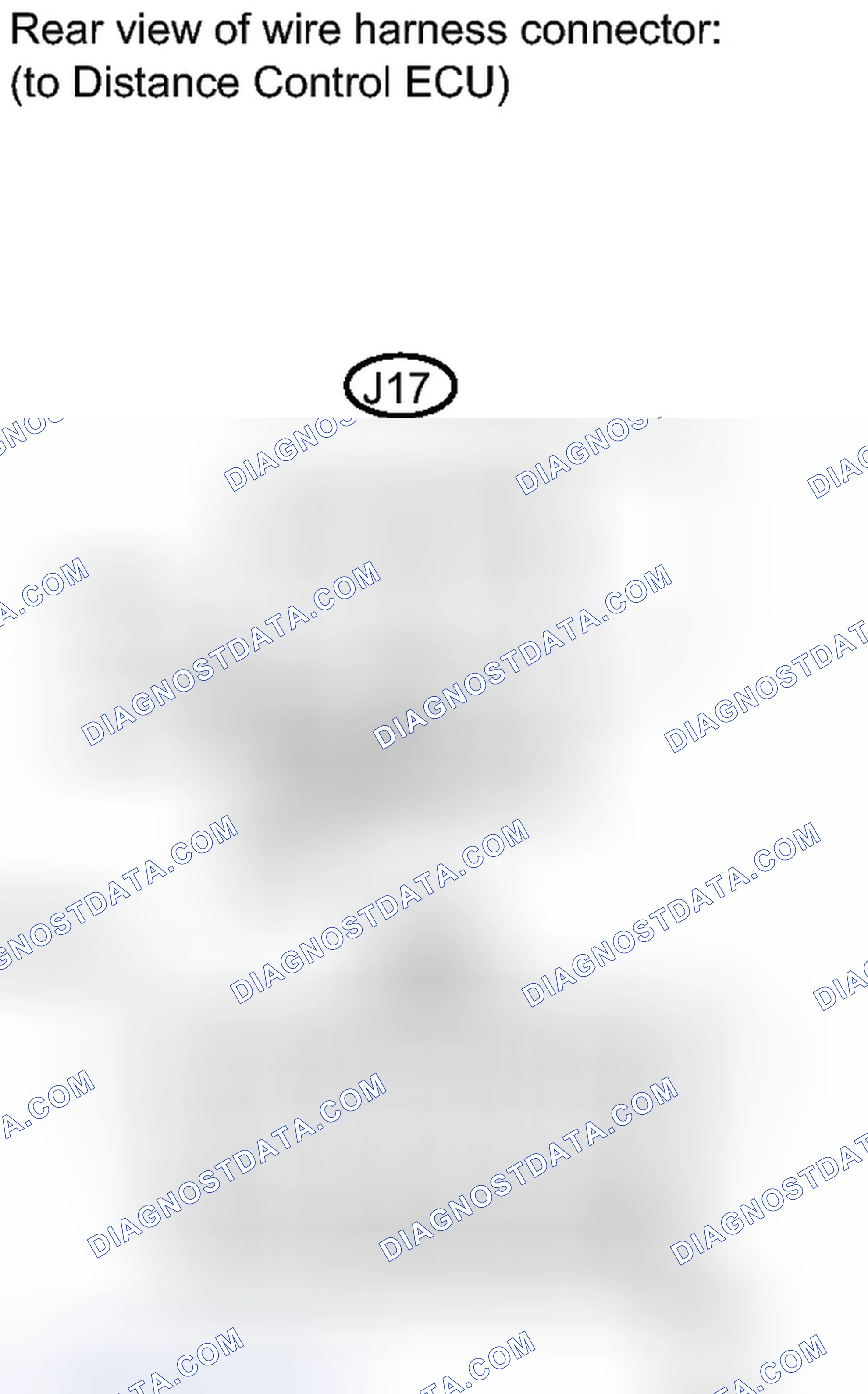 Scheme 96
